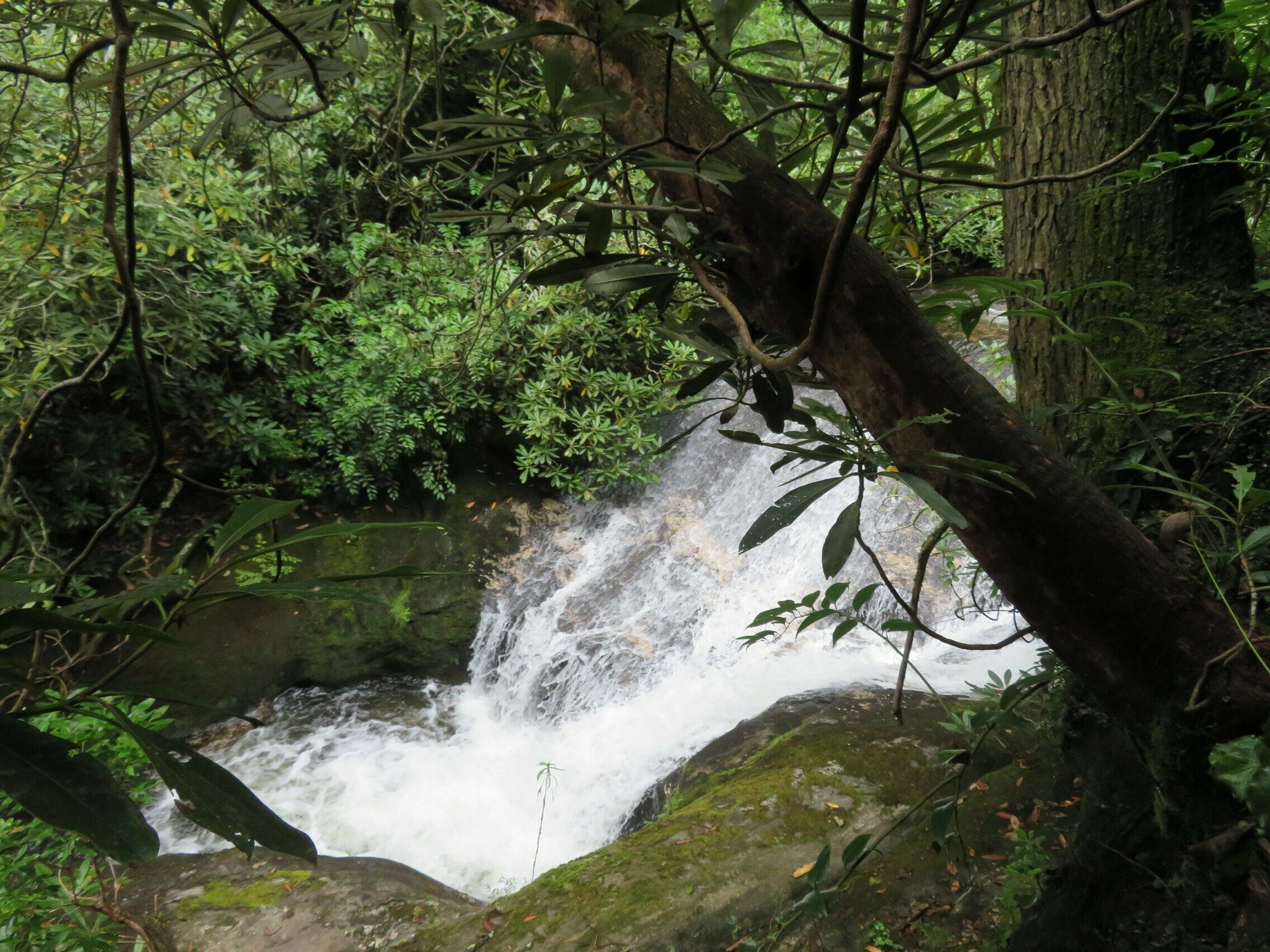 View of the 4th falls . . . or cascade if you prefer.