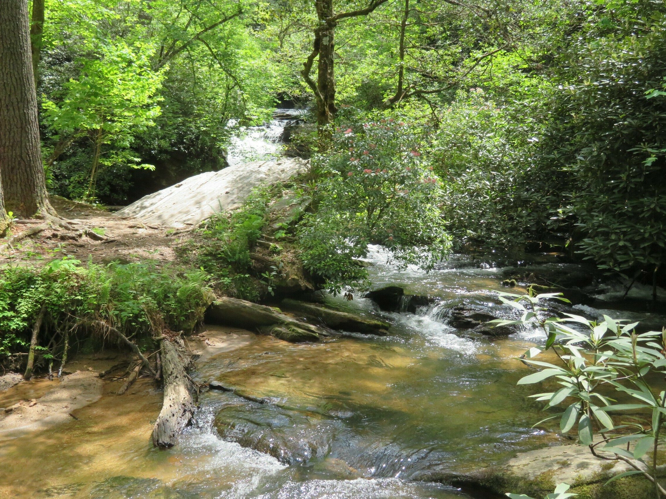 View of Pigpen Falls