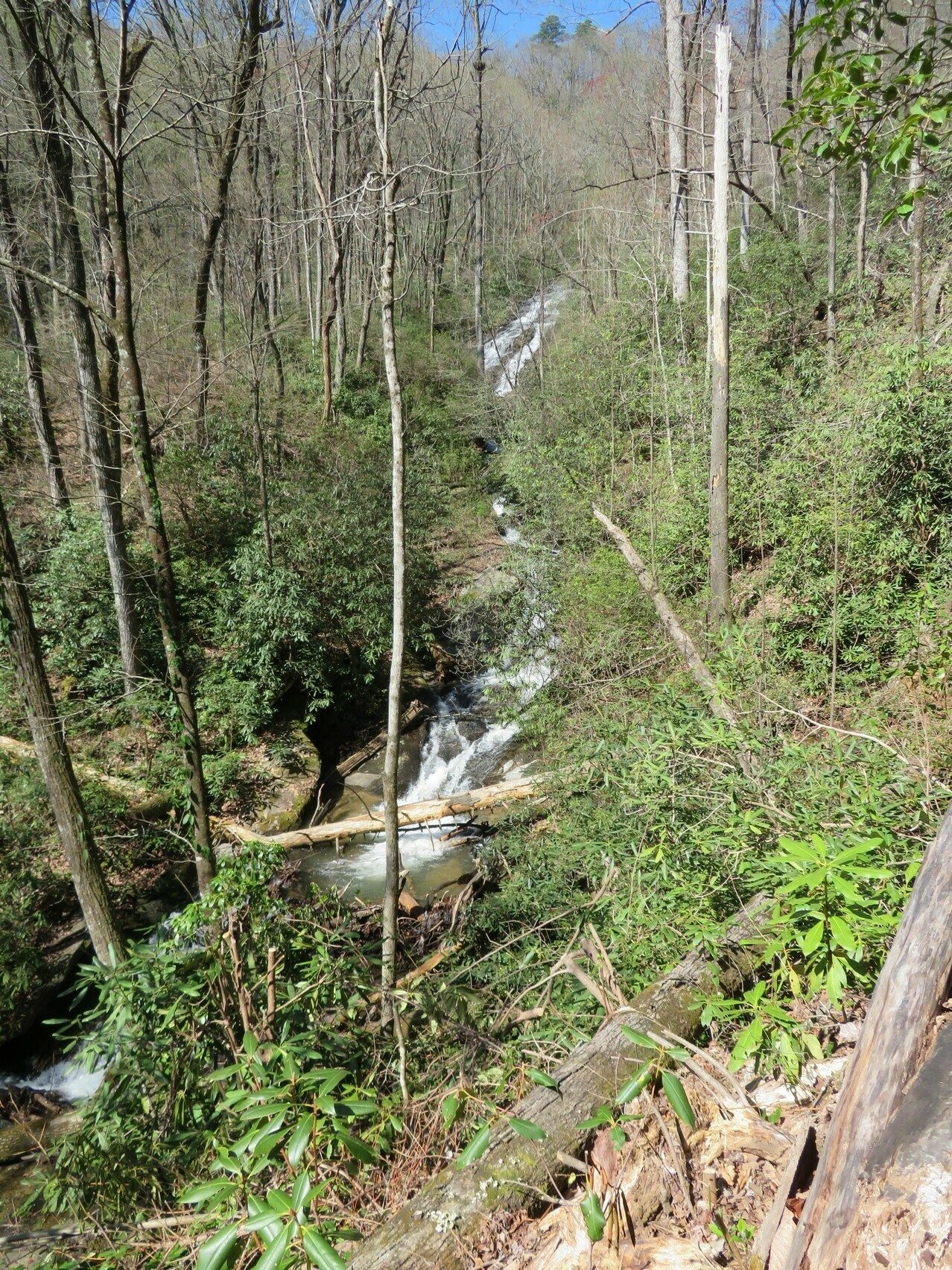 Hidden Falls