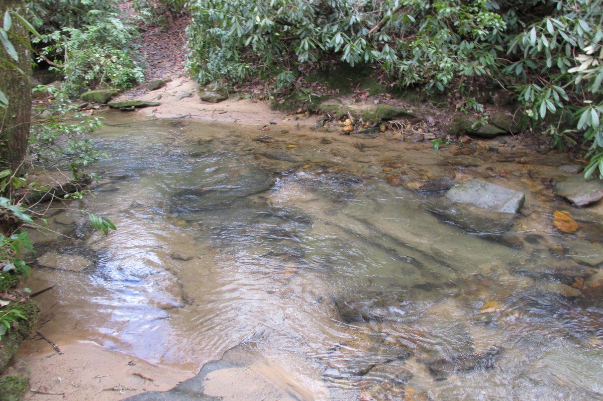 Now how are we going to cross this creek?  Sure don't want to double back 4 miles when we are only 1.5 miles from finishing.