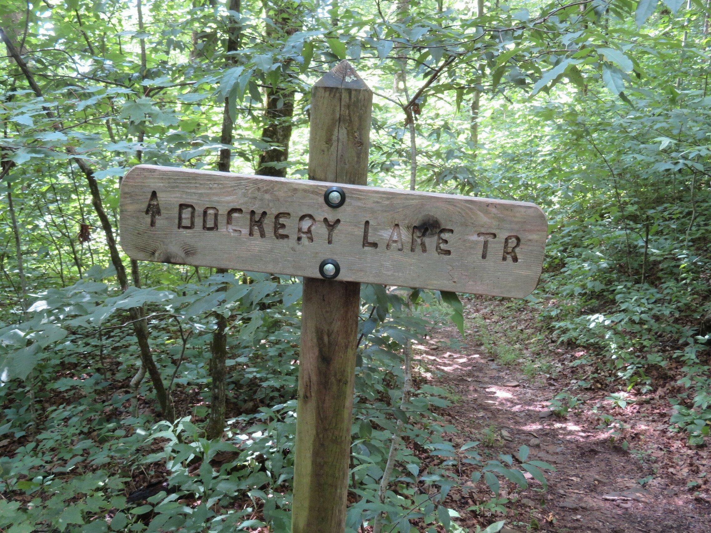 The way back.