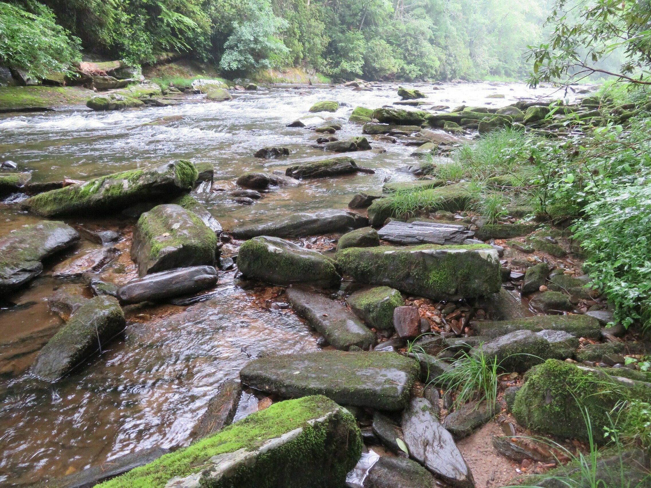 Chattooga River view.