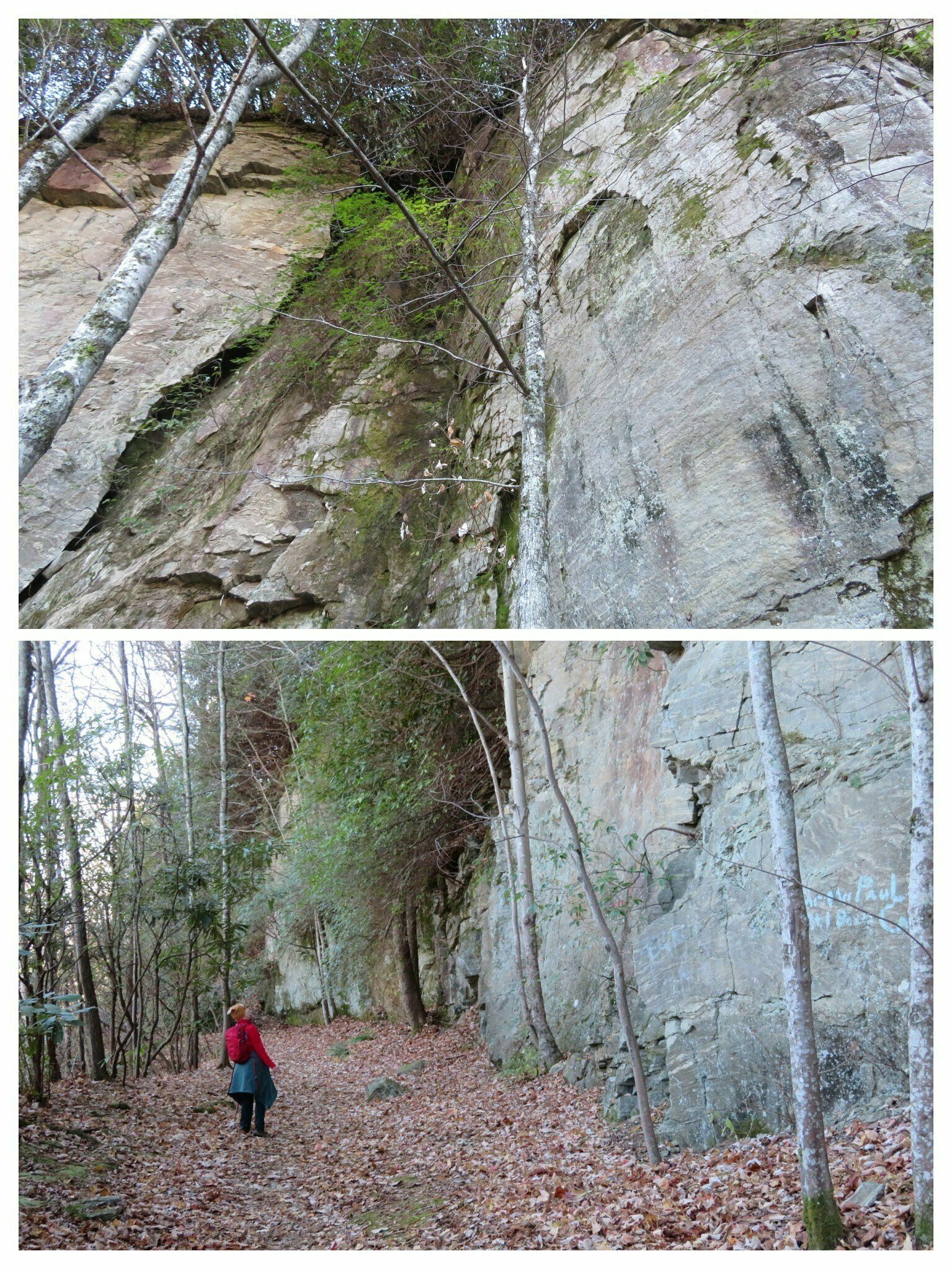 Now these are tall cuts into the rock to create the former road, now trail, below.
