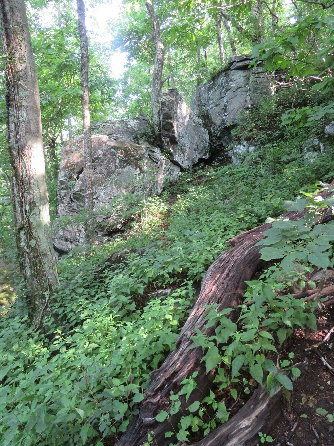 Nice rock formations along the AT out of Woody Gap