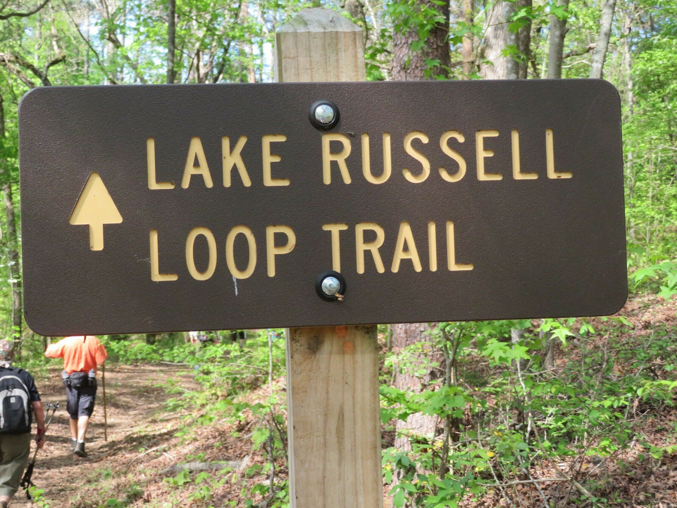 Lake Russell Loop Trail Sign near the beach area