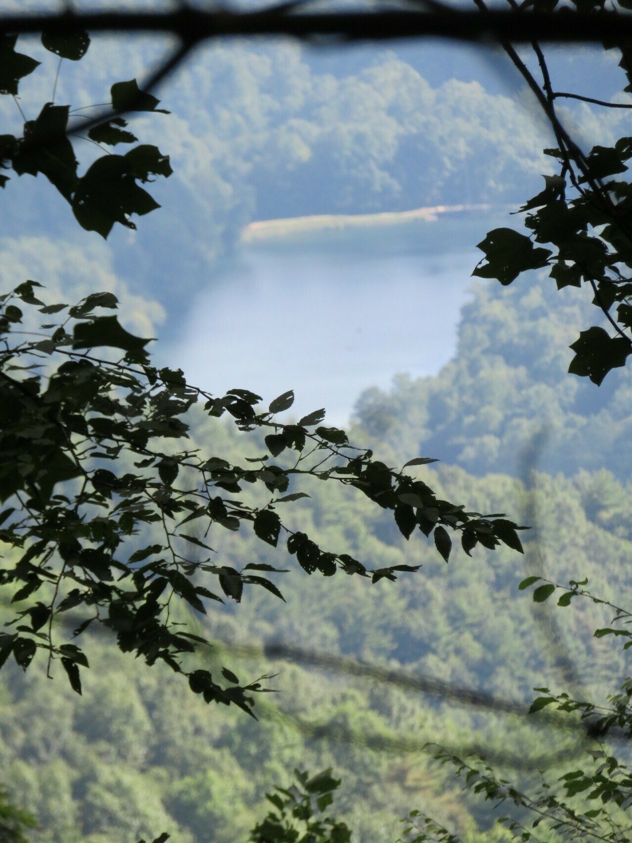 A peak through the treees of the lake at Vogel State Park.