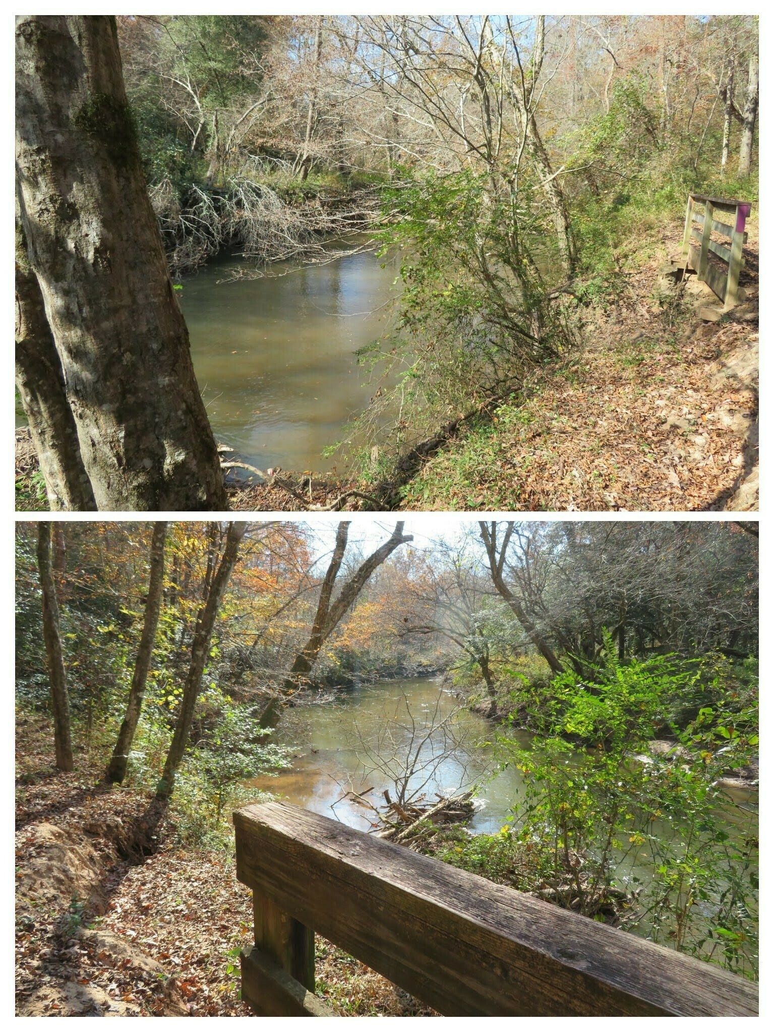 Views of the Broad River at our lunch stop.