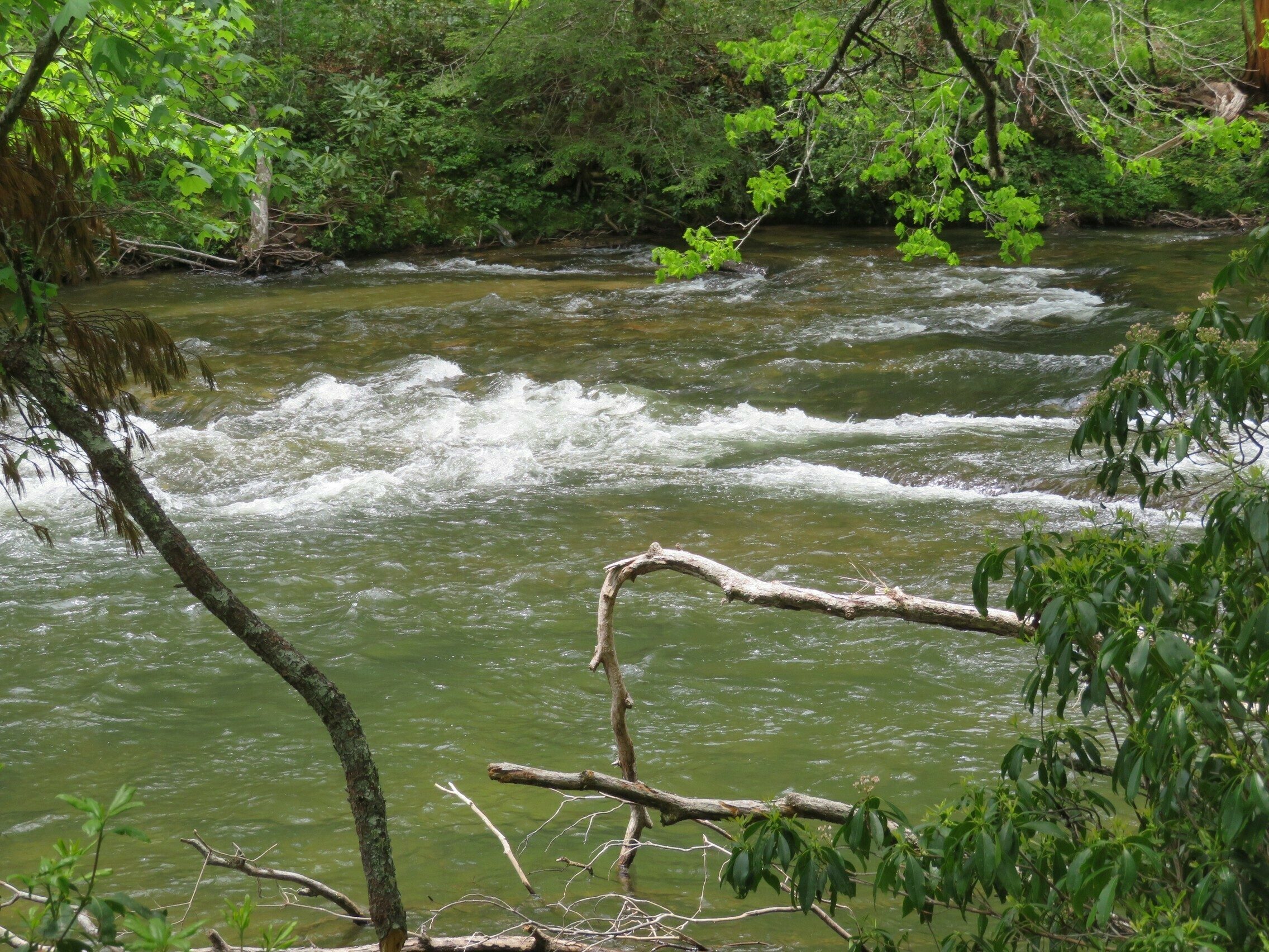 Nice set of rapids in Chattooga River along the trail