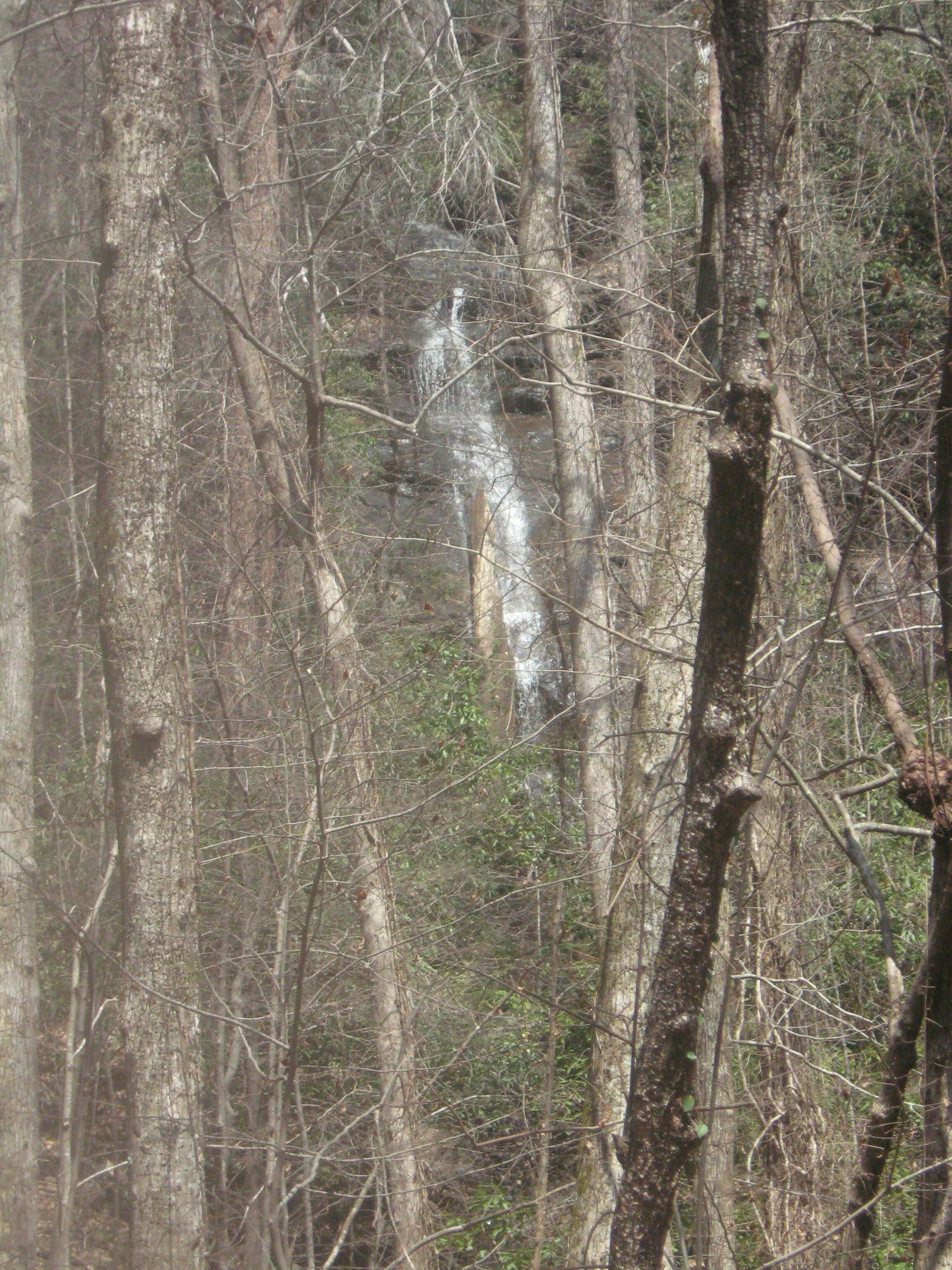 Martha's Falls taken March 21, 2017 . . . what we did not see on this hike.