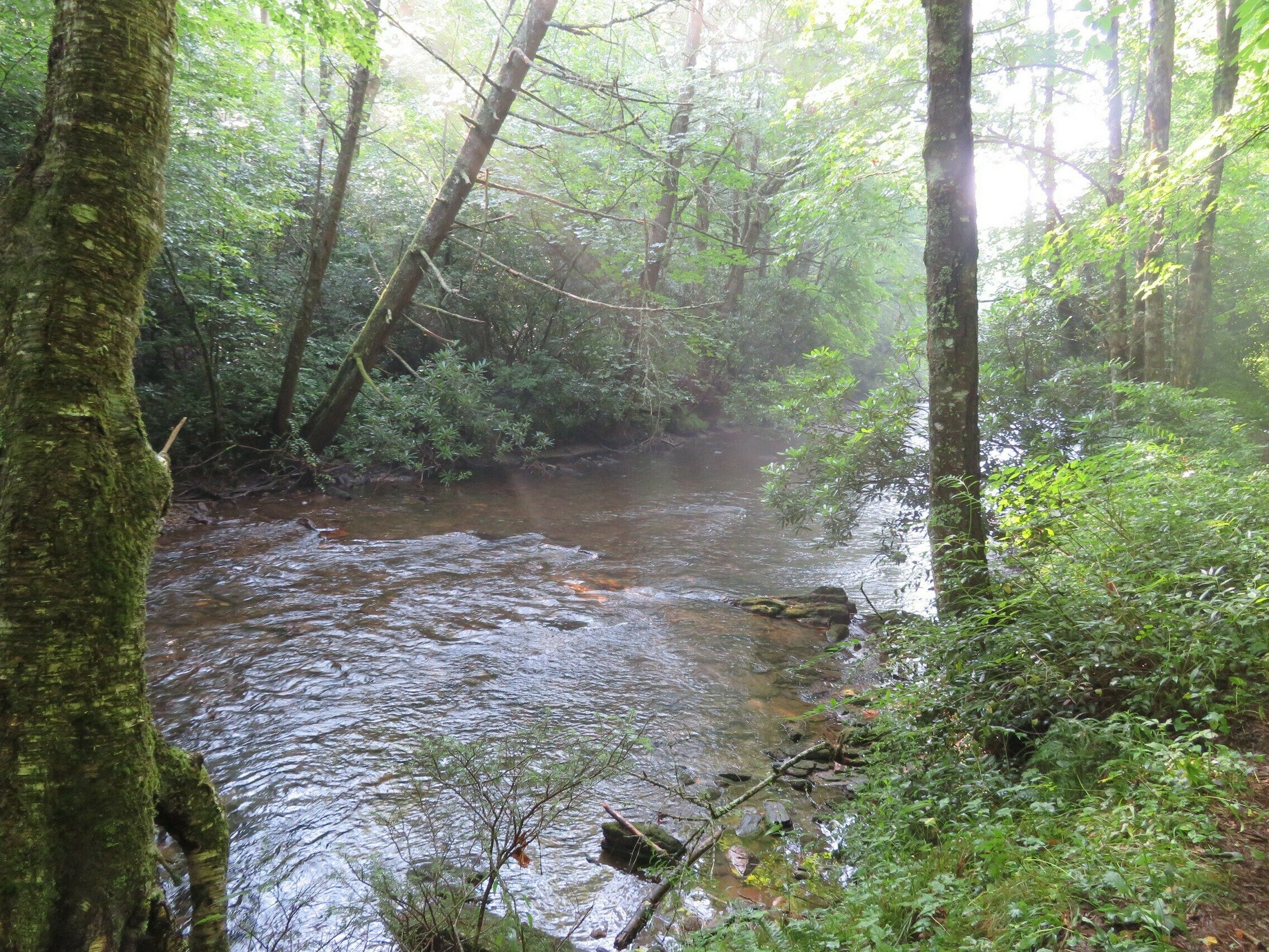 A view of the Nantahala River