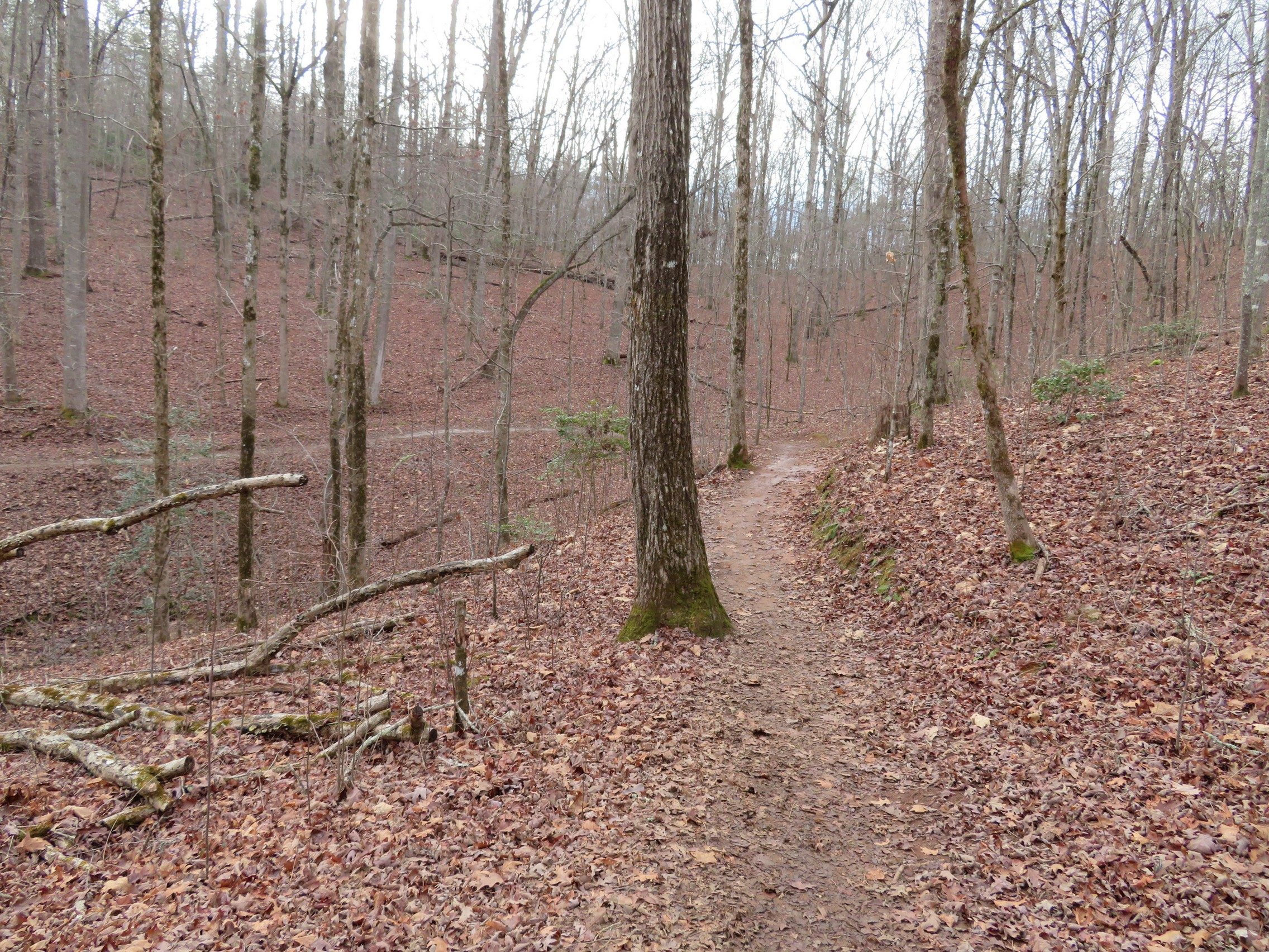 Typical trail conditions