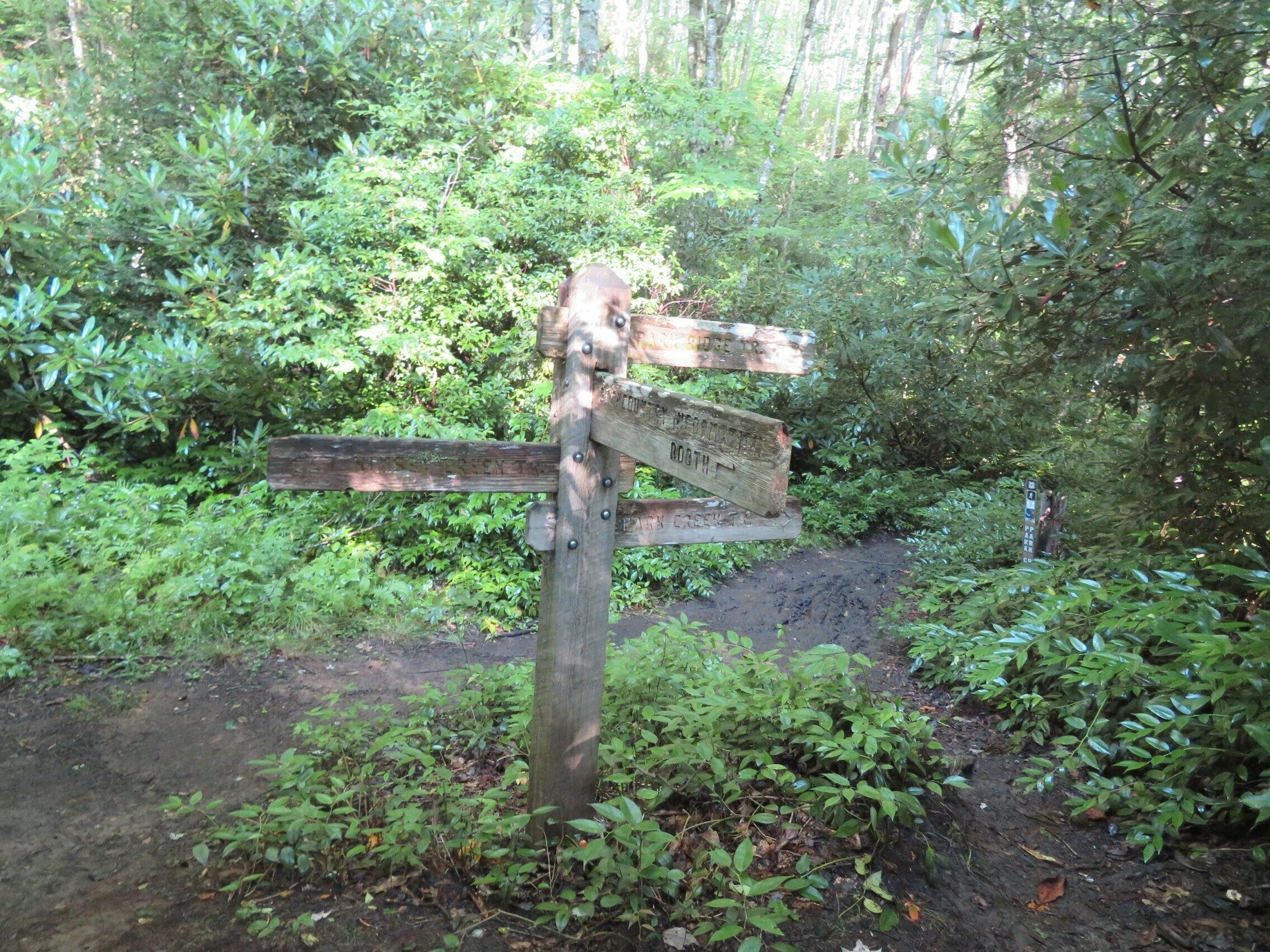 Which way?  Start of the main loop trail.