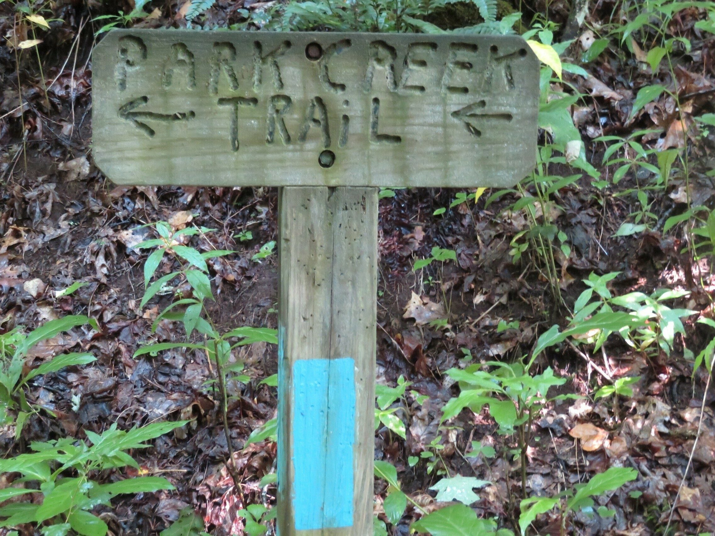 This way to the first part of the loop . . . nice easy slope!