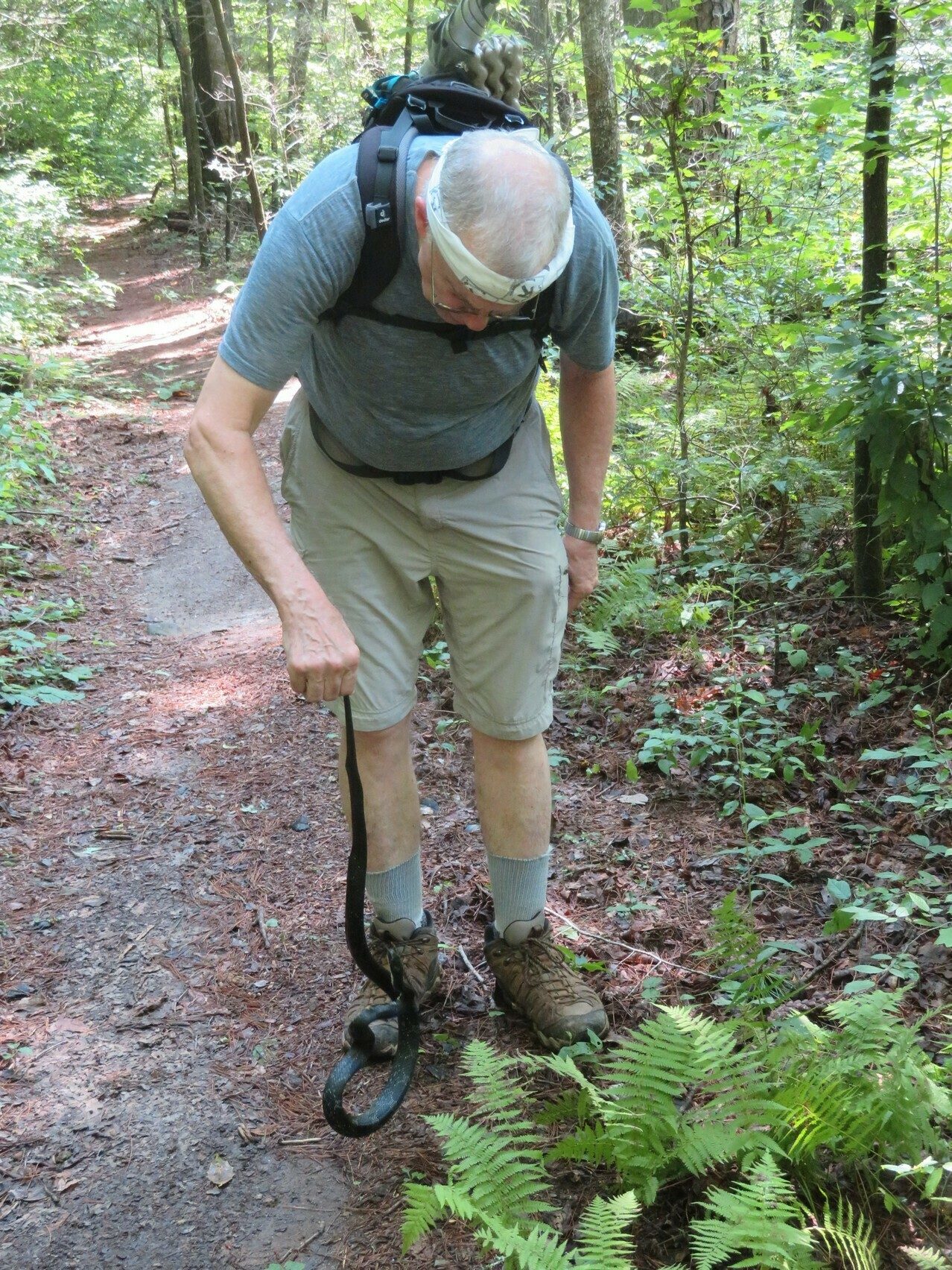 Ray playing with a Black Rat Snake on our return hike
