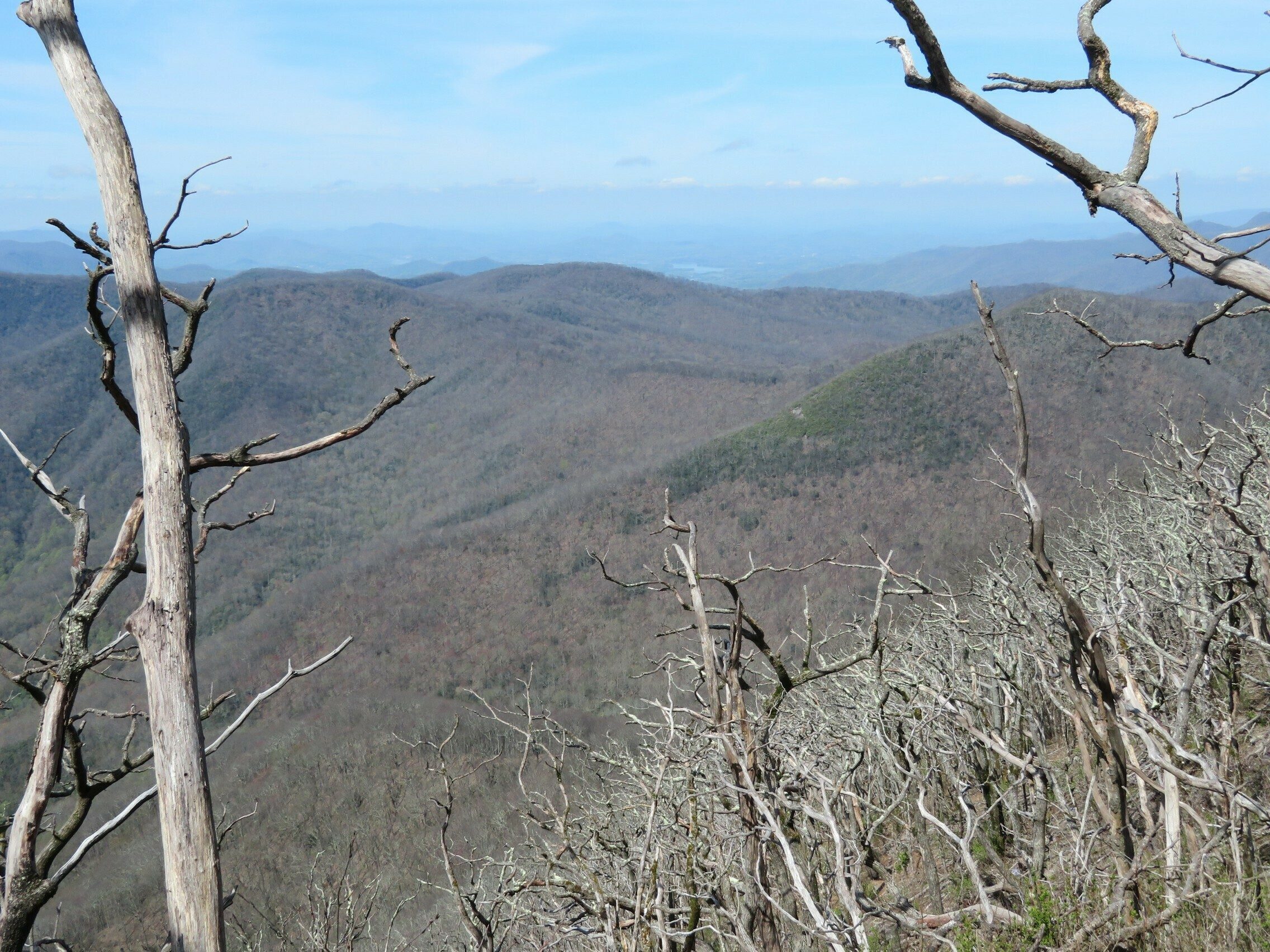 View from Standing Indian Mountain