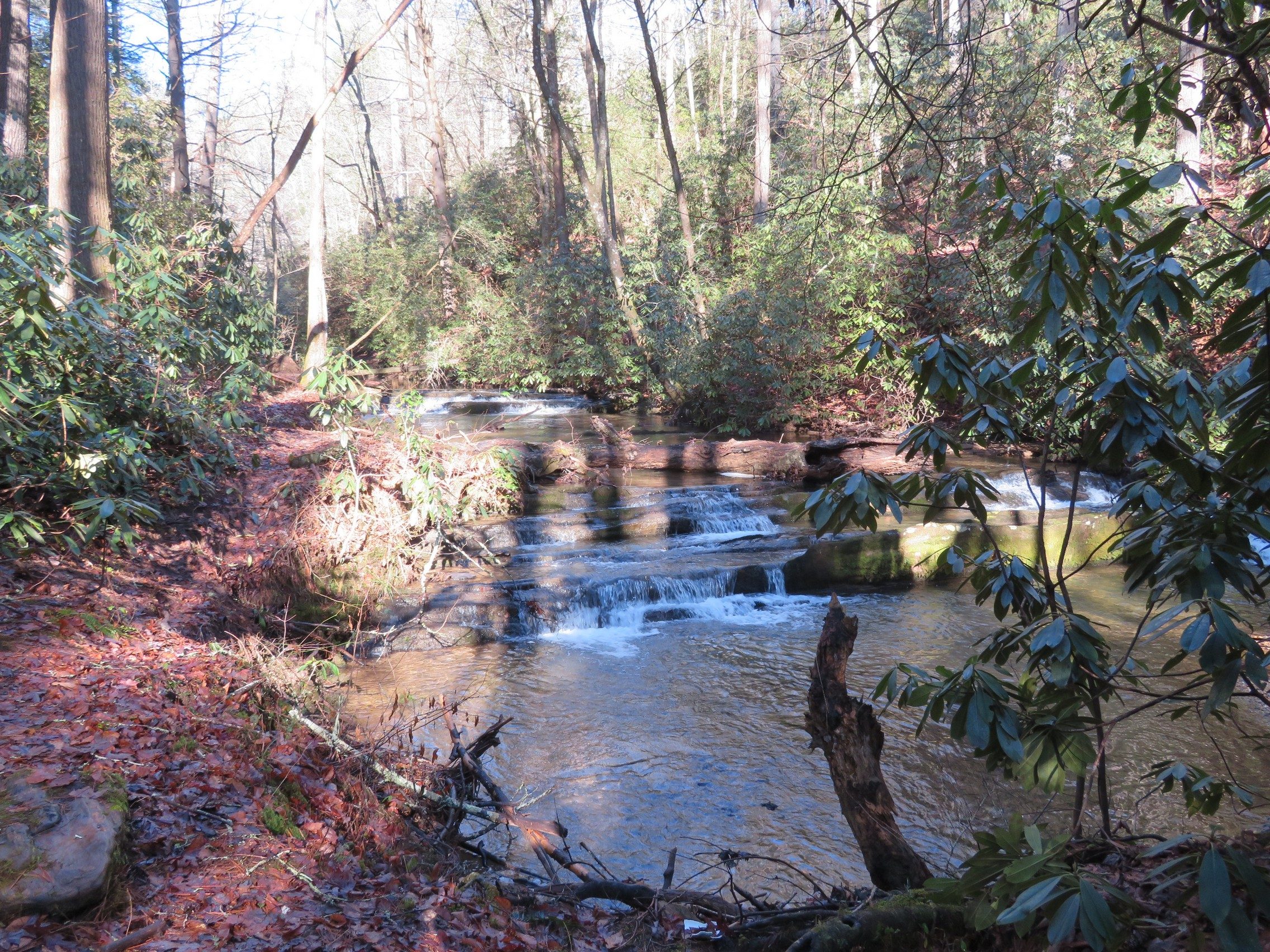 Turner Creek with some small cascades