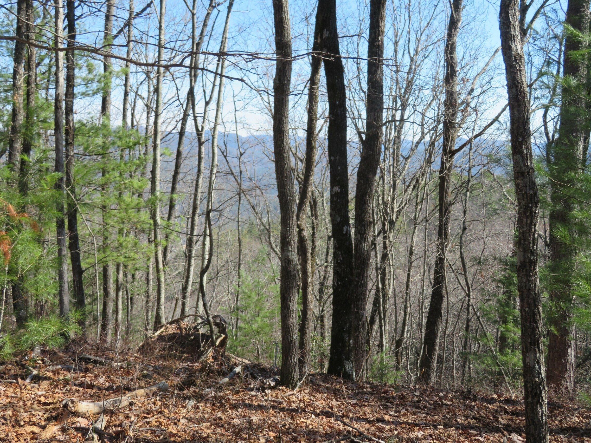 Another view from the trail.