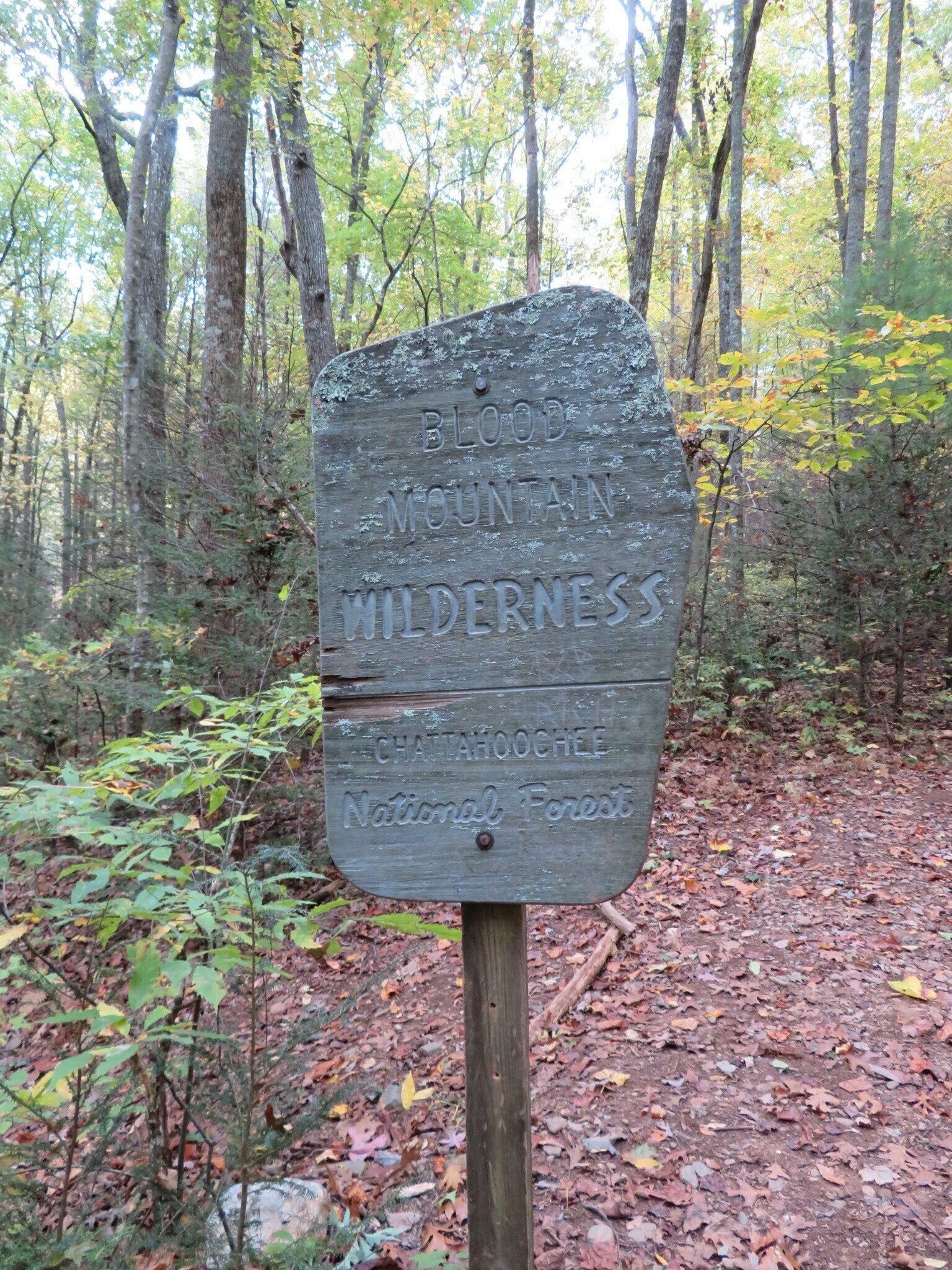 Much of this trail is in the Blood Mountain Wilderness.