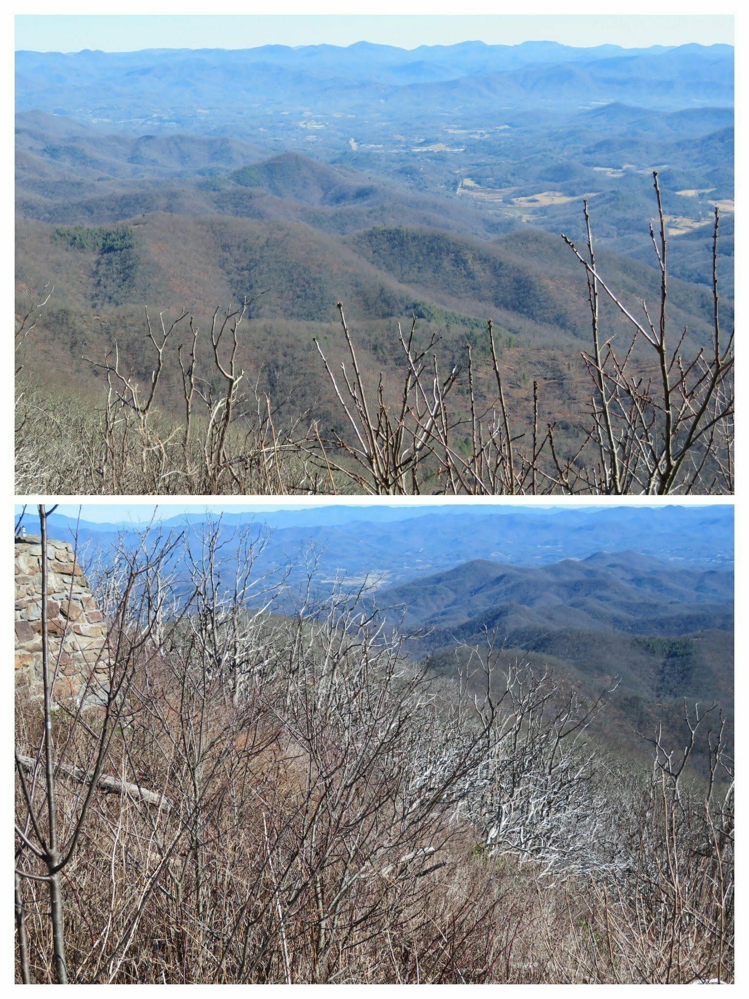 Views from Wayah Bald still showing the effects of the 2016 fire.