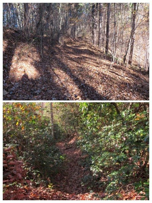 Typical good trail conditions today.