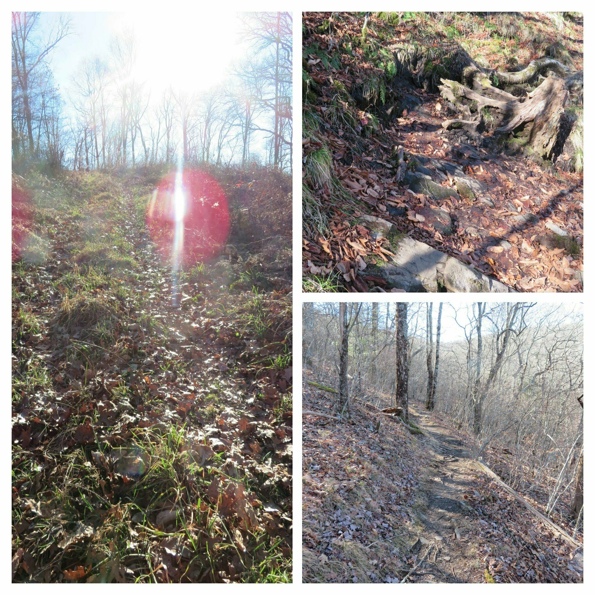 Good trail conditions except for the growing washout in the upper right pic..
