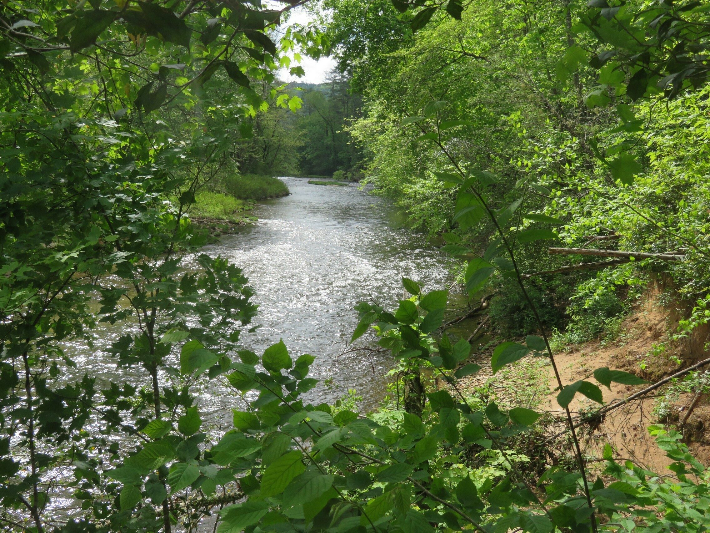 Another view of the Chattooga River