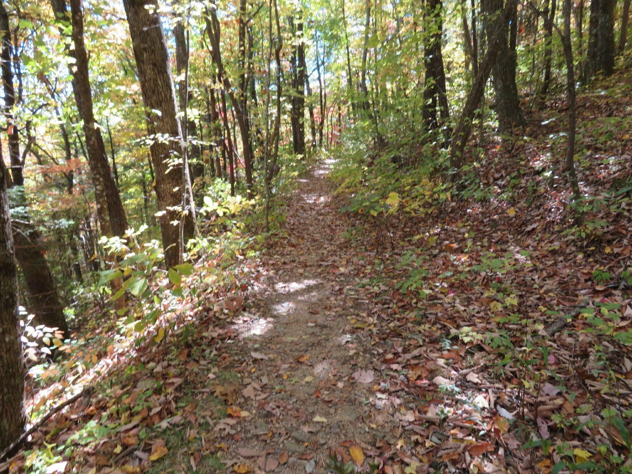 One of the few nice and easy sections of this trail on the way back.