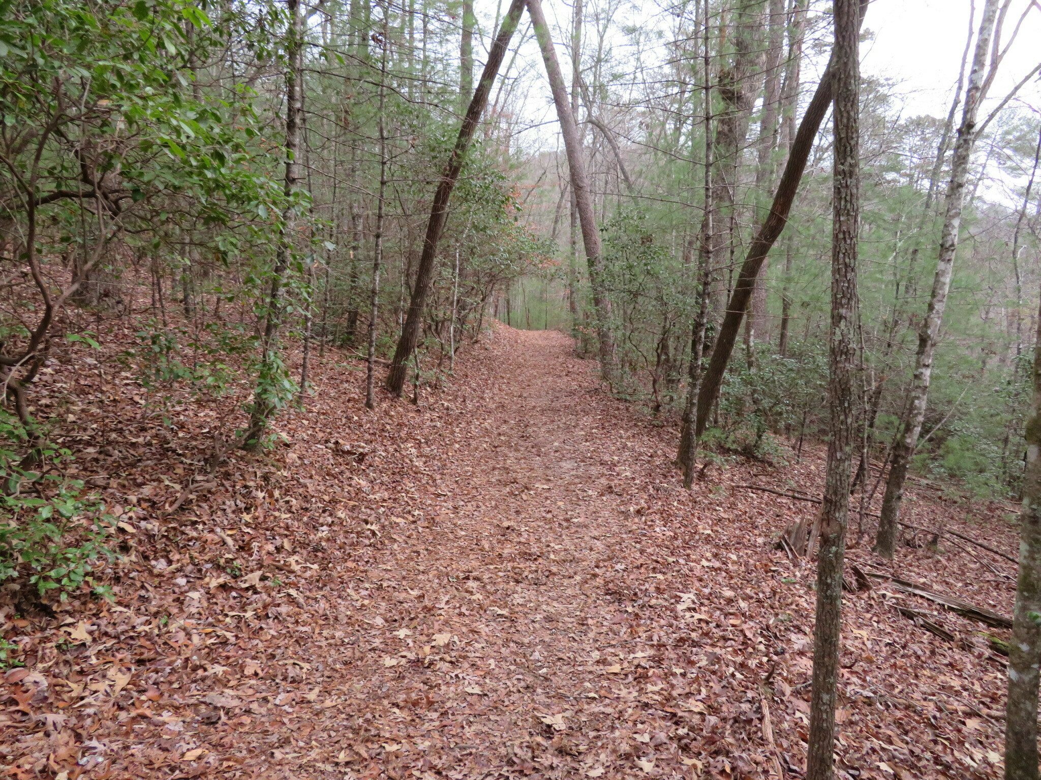 Easy trail.