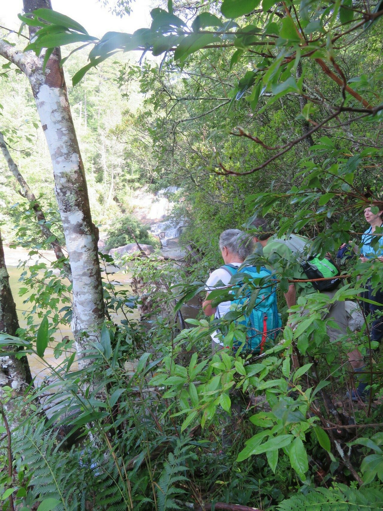 Trying to get a view of Dicks Creek Falls