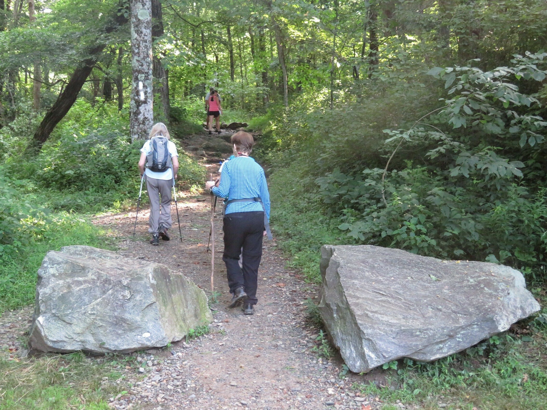 Getting started at Woody Gap