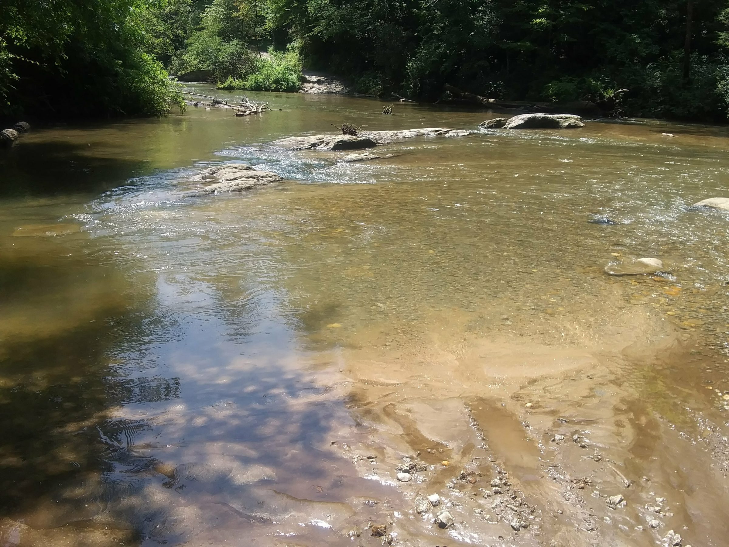 Chattooga River view