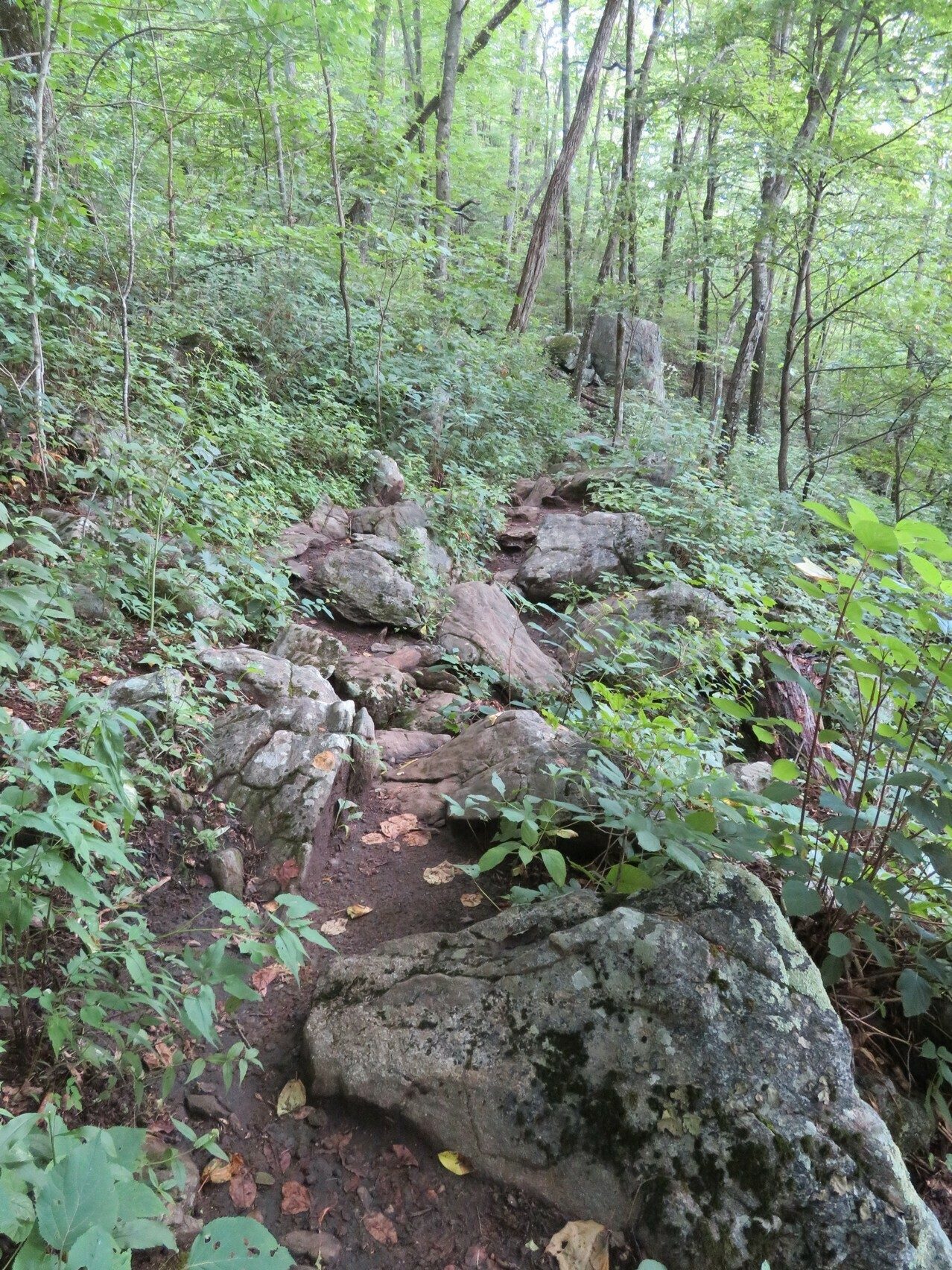 More rocks . . . who picked this hike? Starts with a "C."