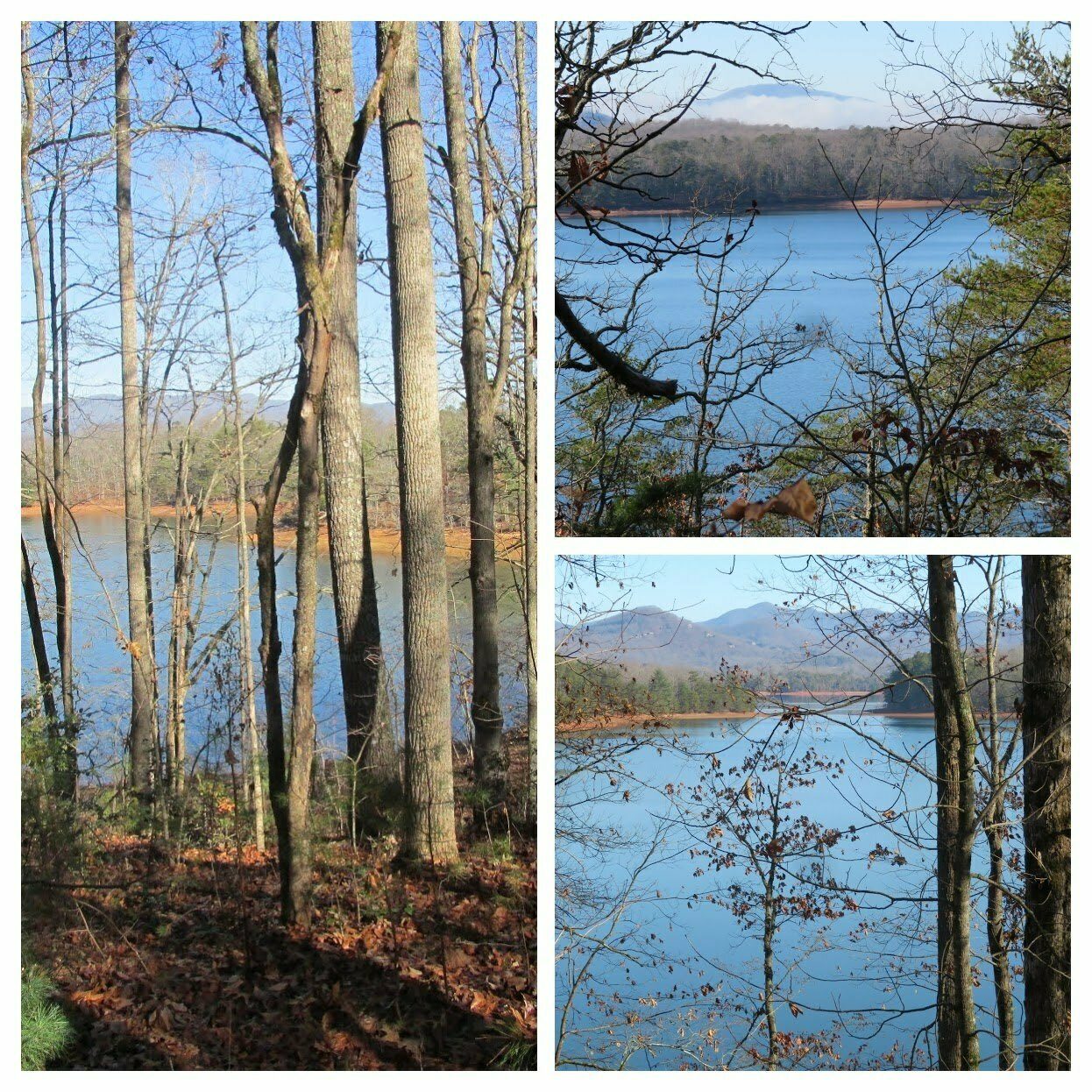 Actually, while the water level was down, there were still quite a few nice views of the lake.