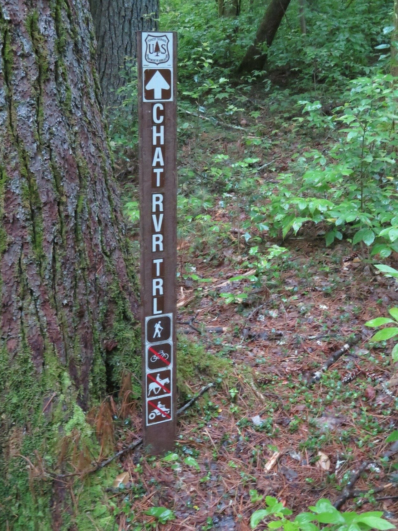 Trial sign