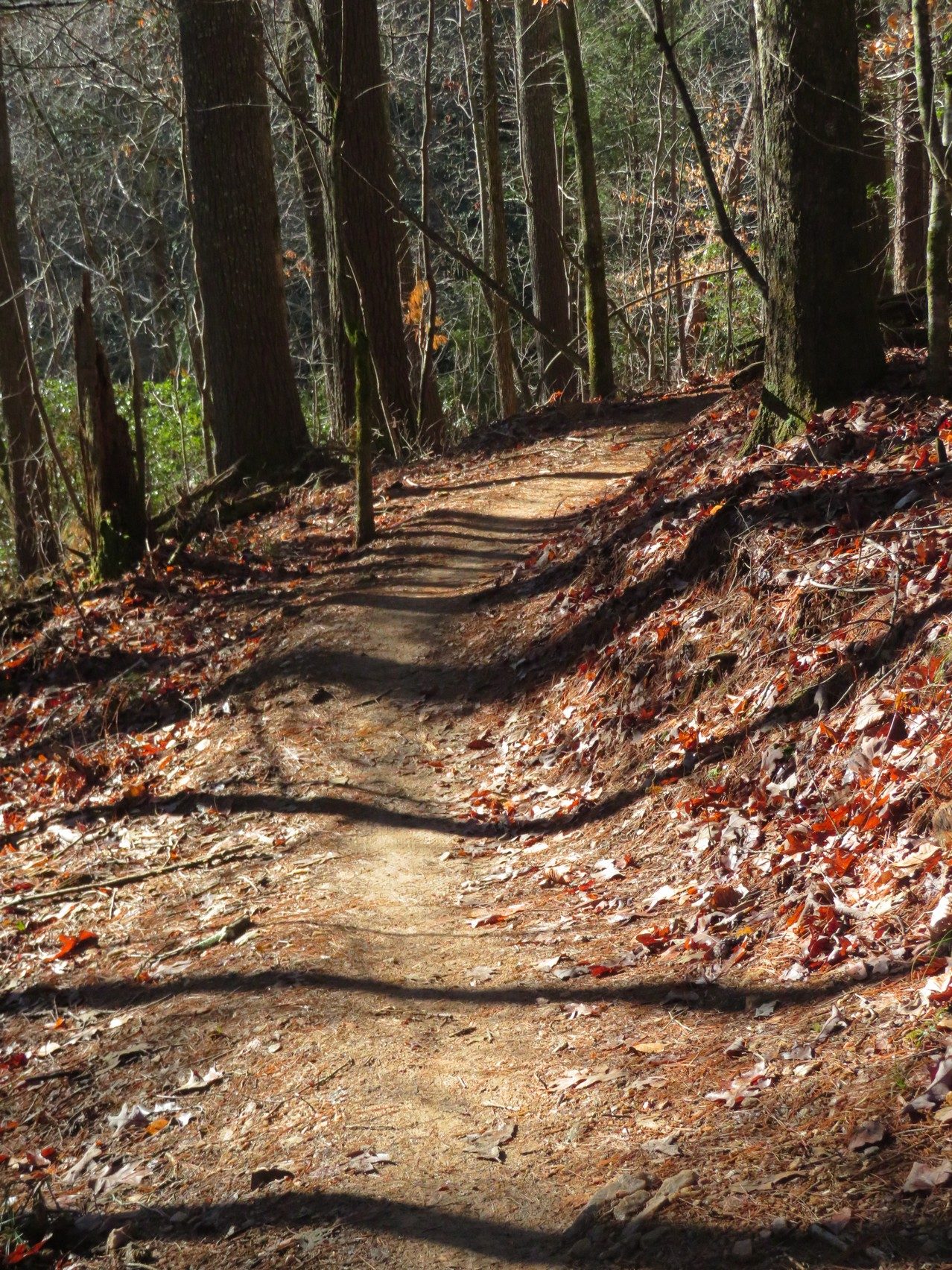 Typical trail conditions