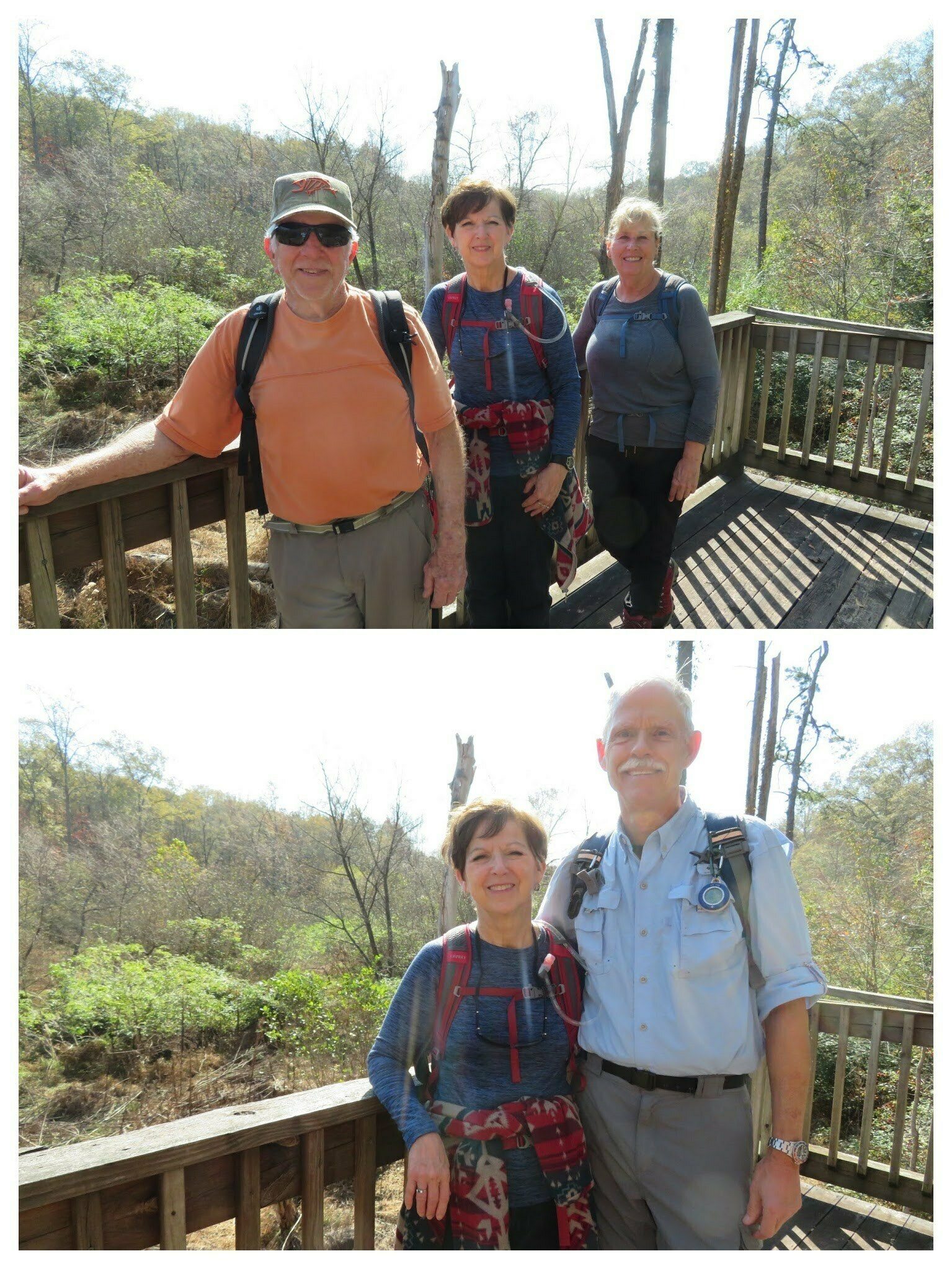 Atop the beaver dam observation tower.