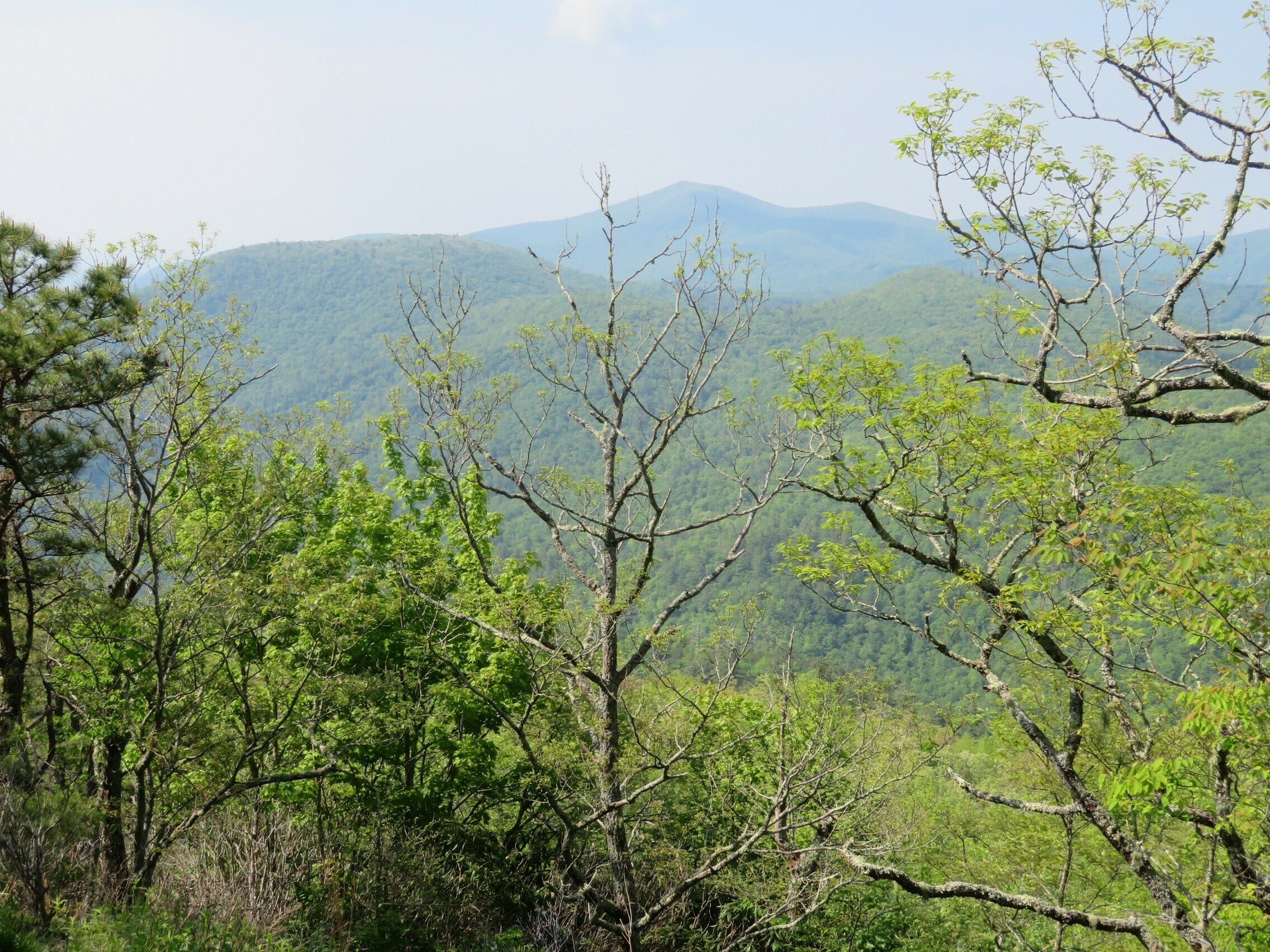 Another view of the valley to the southwest of Scaly Moutain - hazy day!