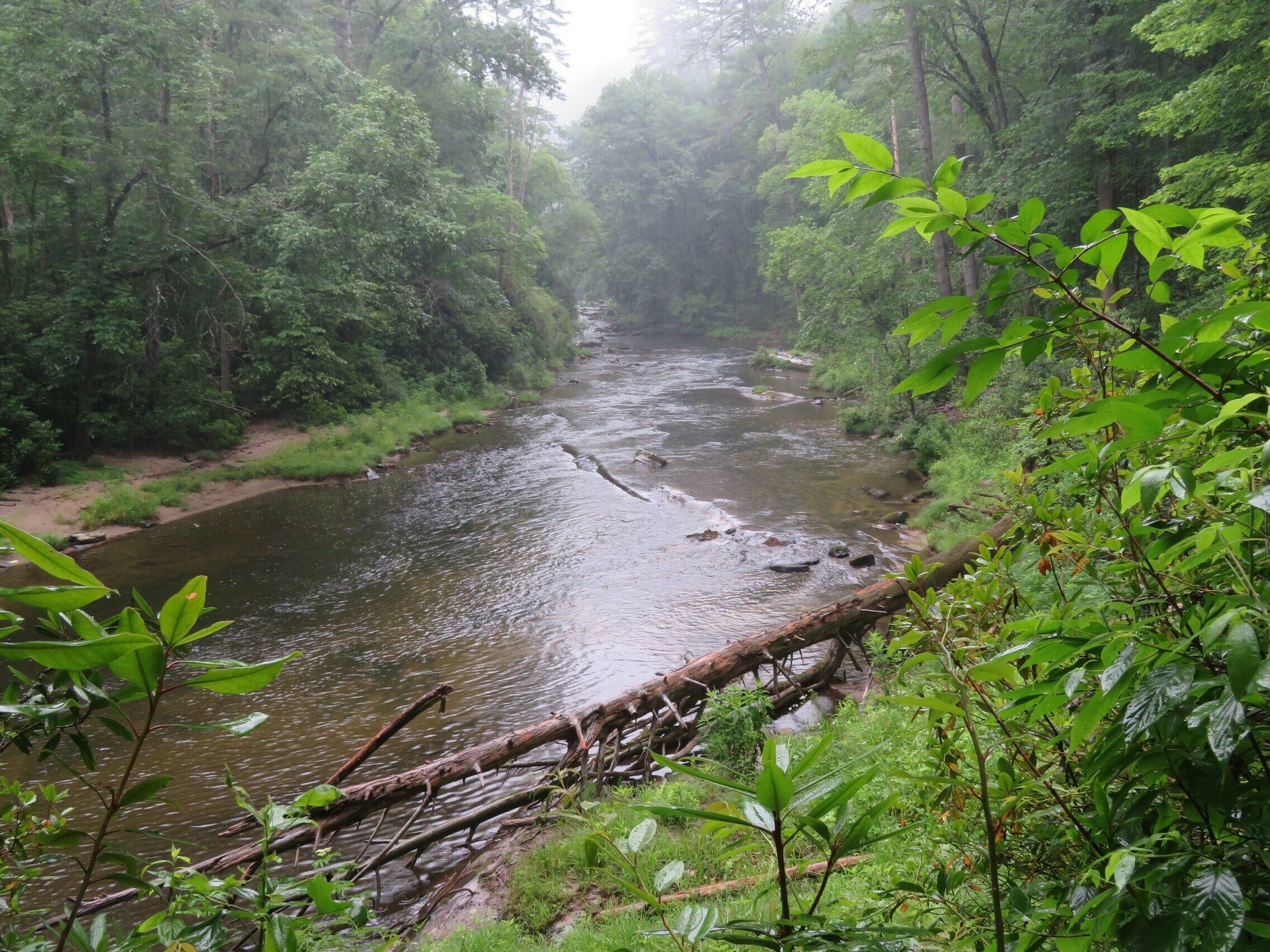 Lots of views of the Chattooga River.