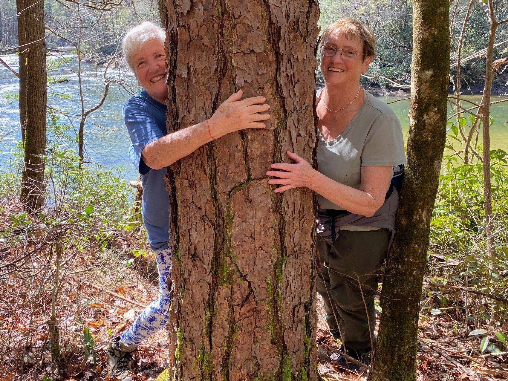 Carole spotted these tree huggers on the side of the trail . . . OK?