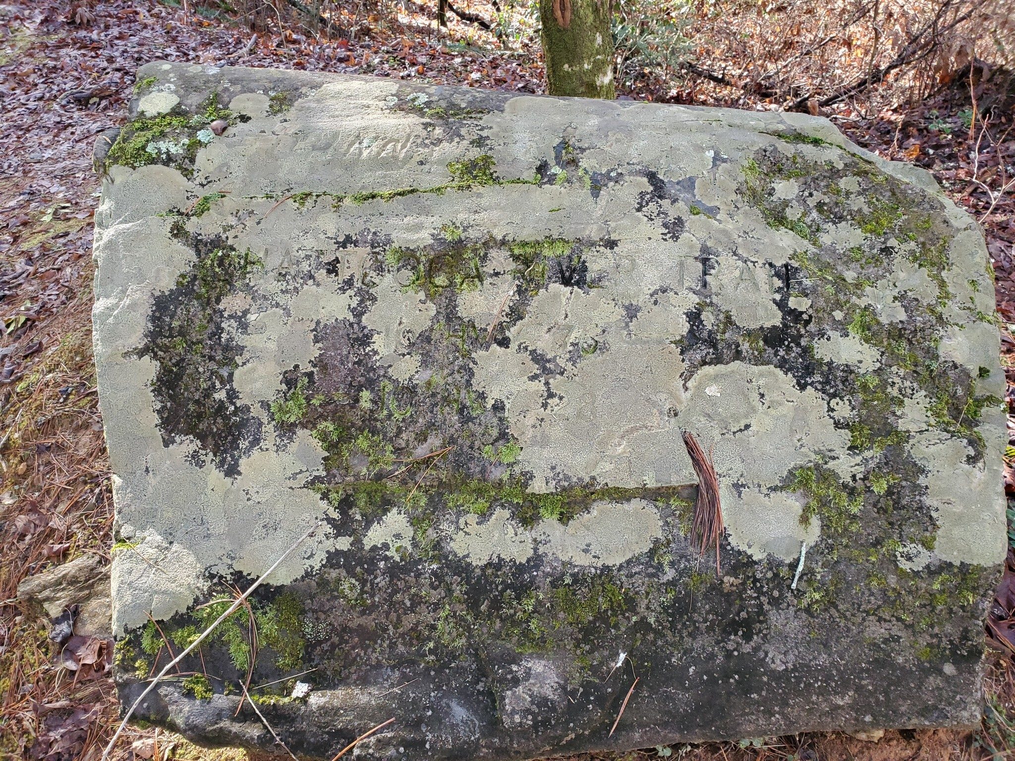 Hard to read the engraving on this bolder marking where the Chattooga River Trail crosses Sandy Ford Road.