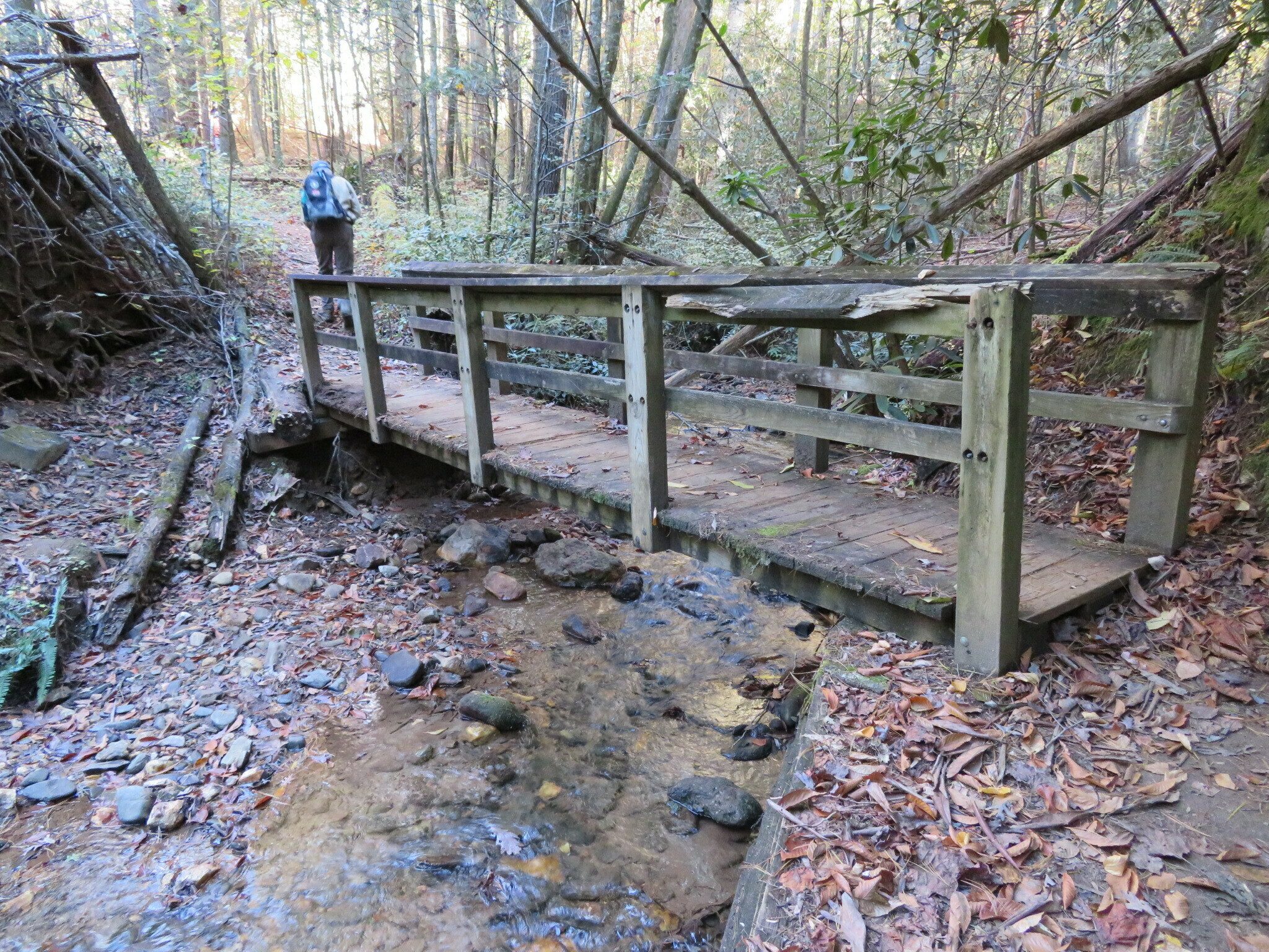 The first bridge over Smith Creek.