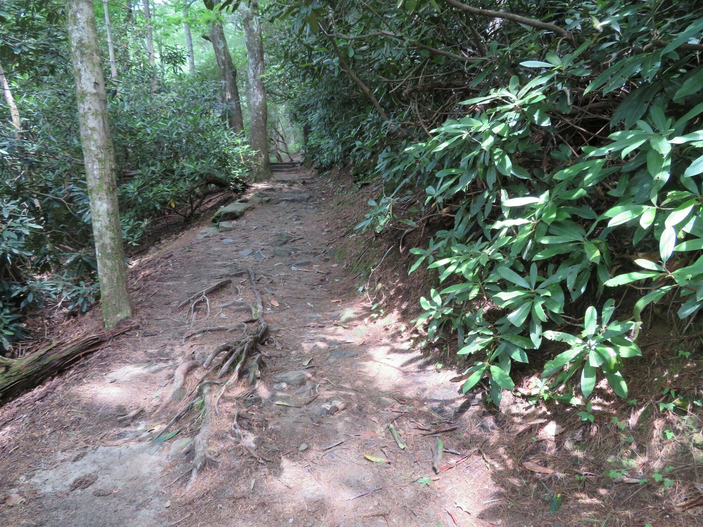 One section of the trail.