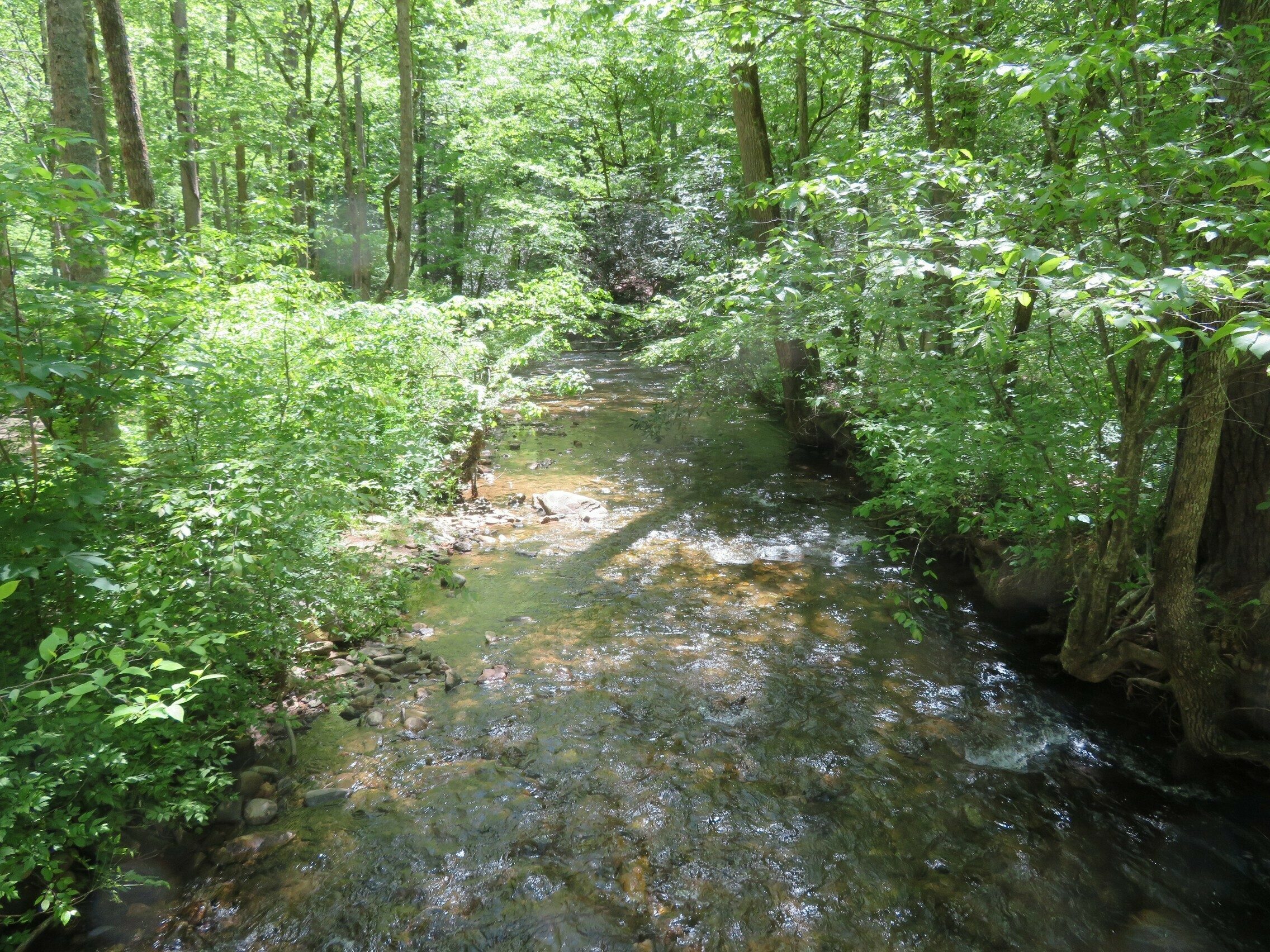 Looking downstream on the West Fork Wolf Creek