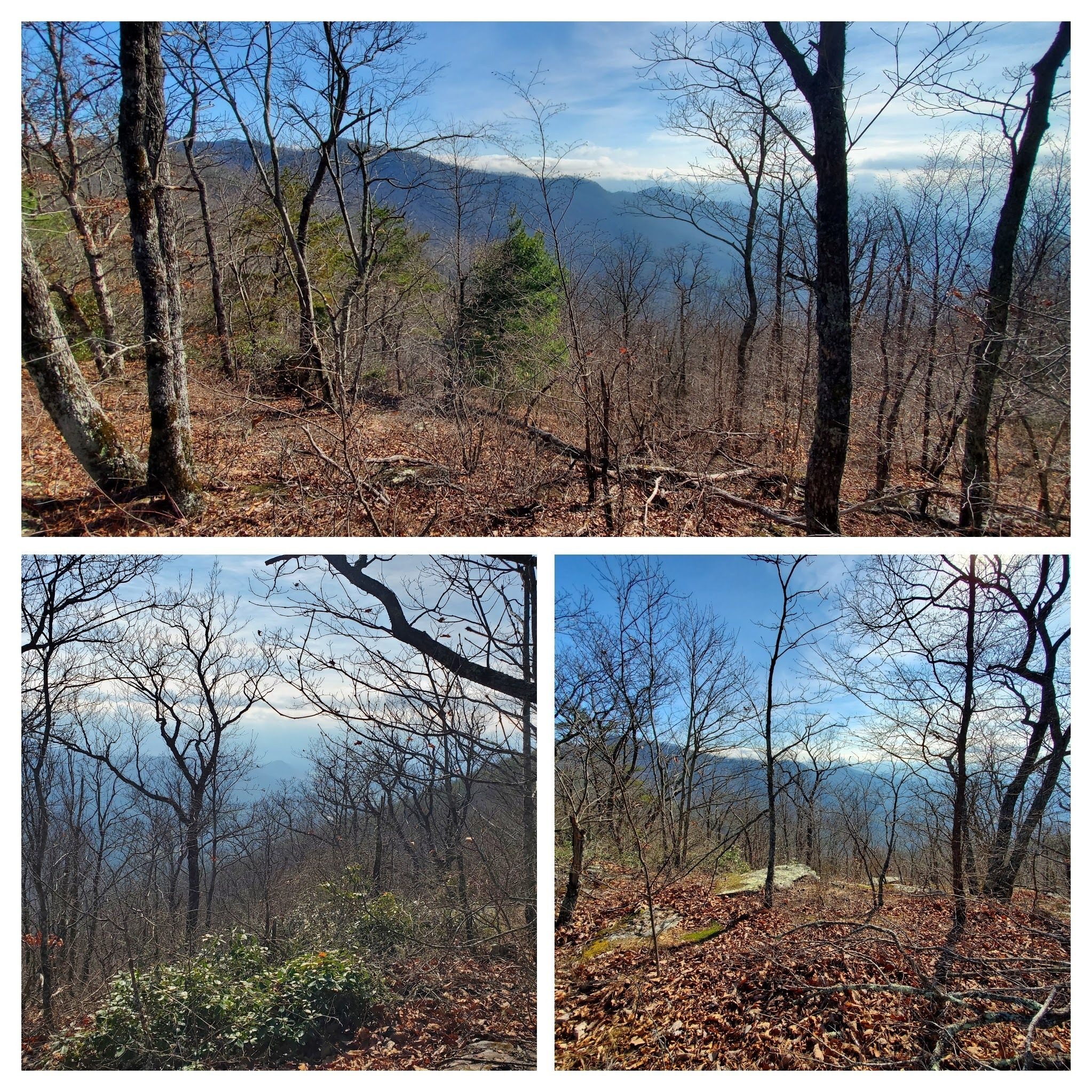 More views from the trail.