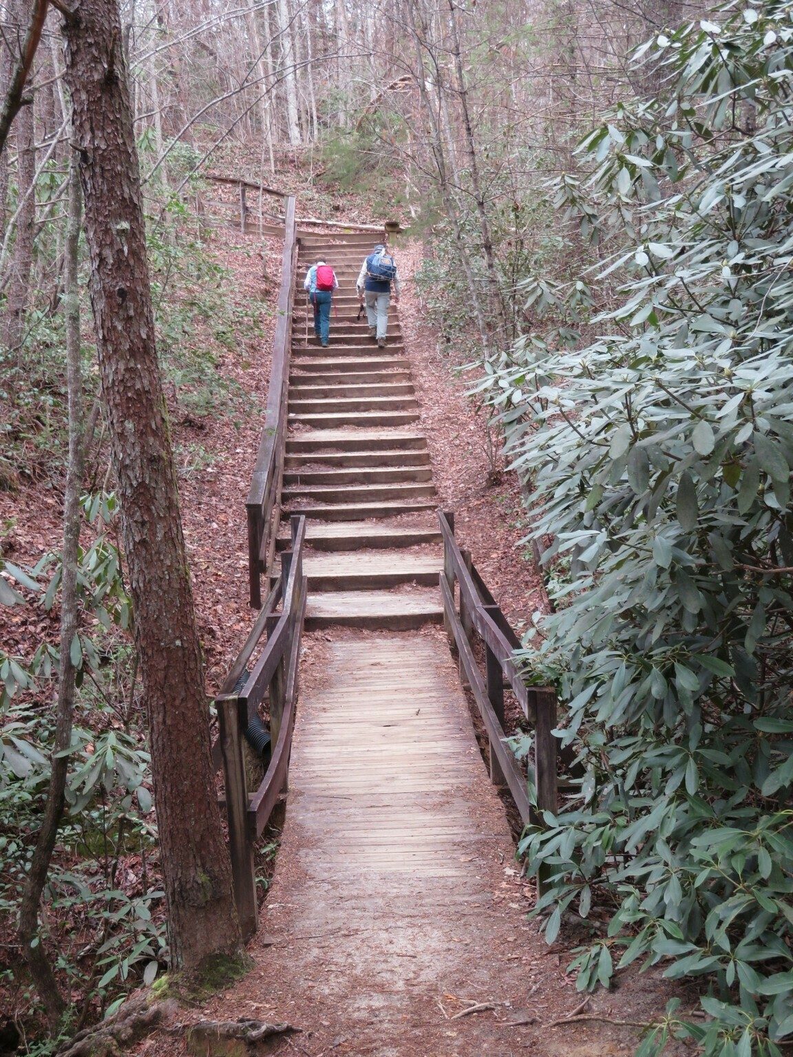 Ray and Jenny on the final climb on the way to the interpretive center.