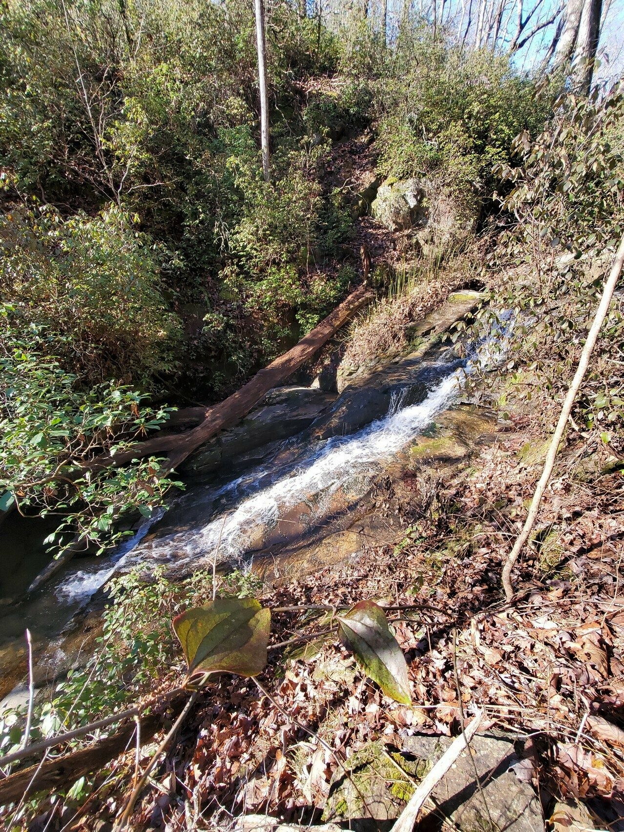 Cascade Falls just prior to turning west toward Chenocetah Tower.