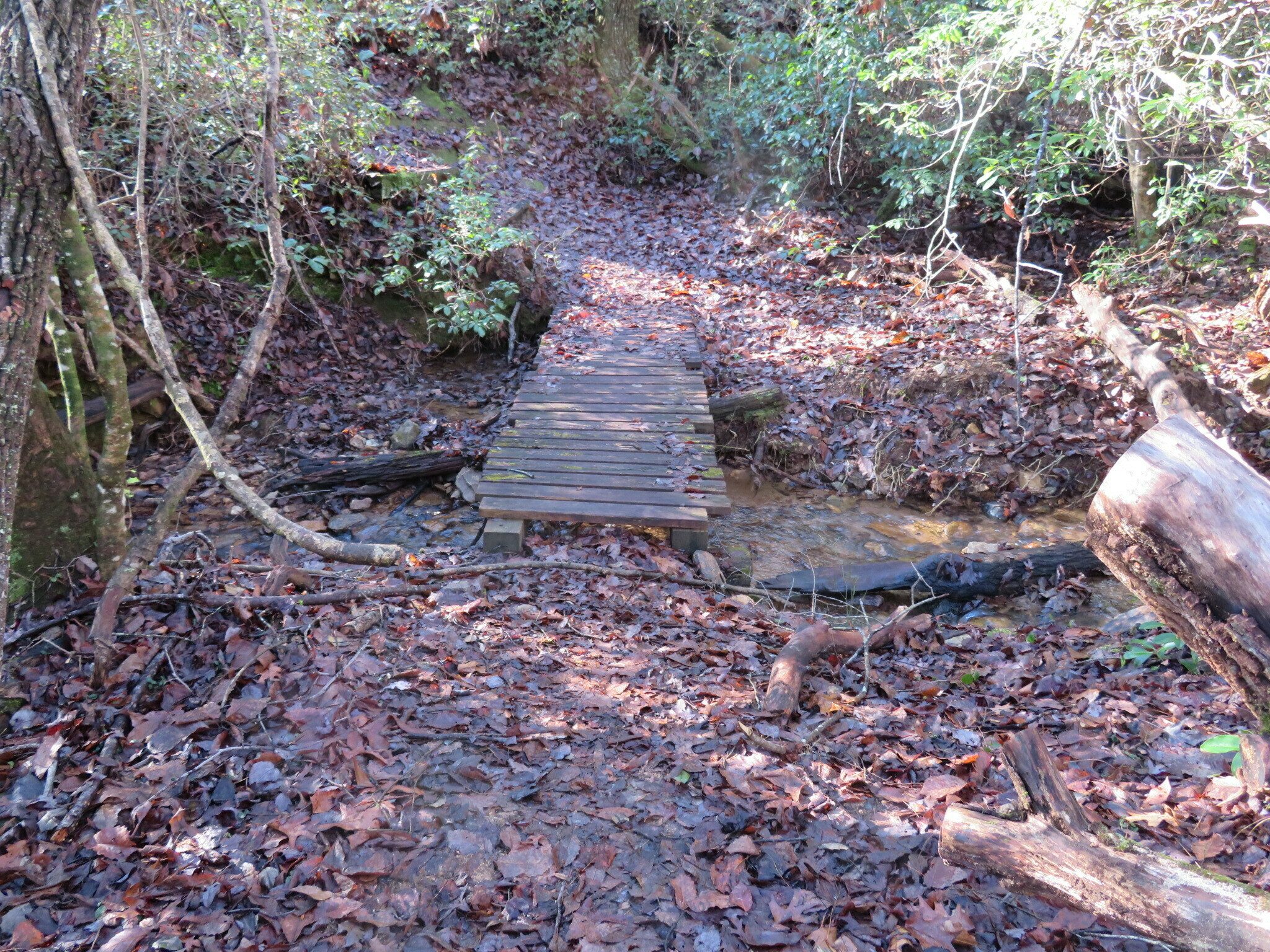The are a couple of foot bridges along the way.