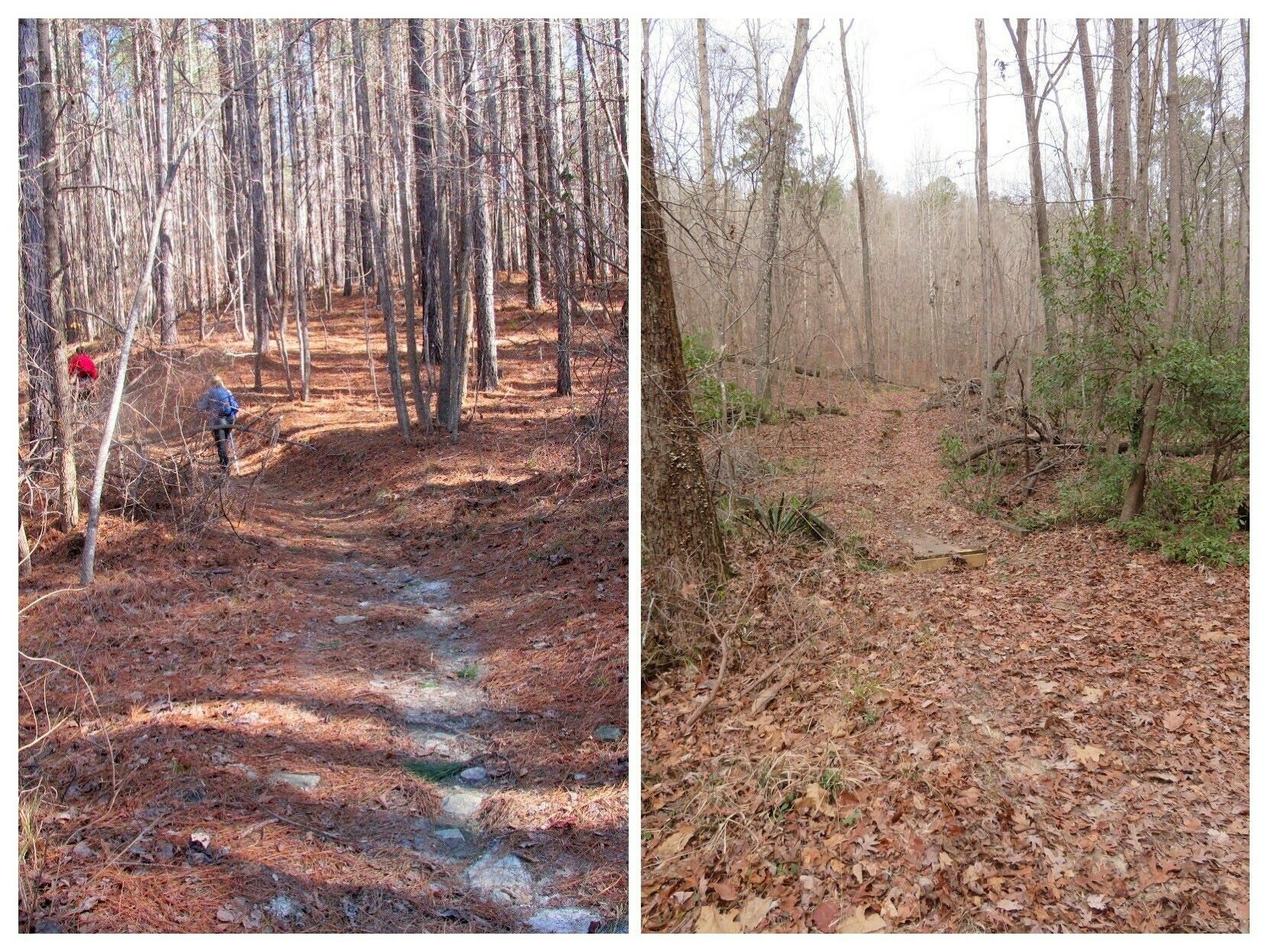 Some of the trail was an easy walk.