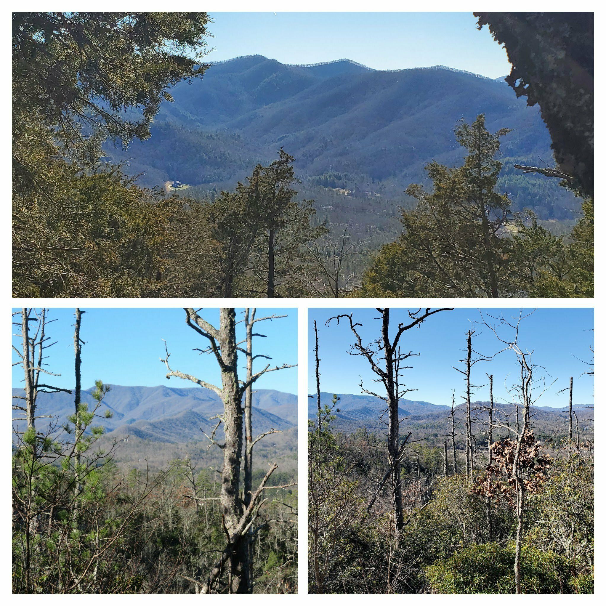 Other views from the trail.