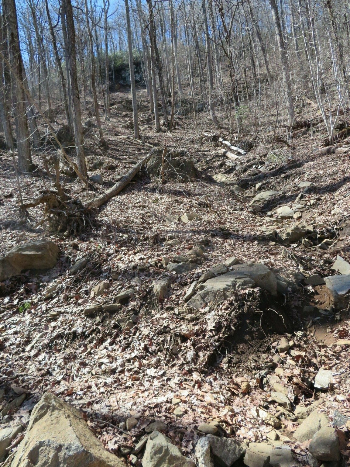 A large wash across the trail.